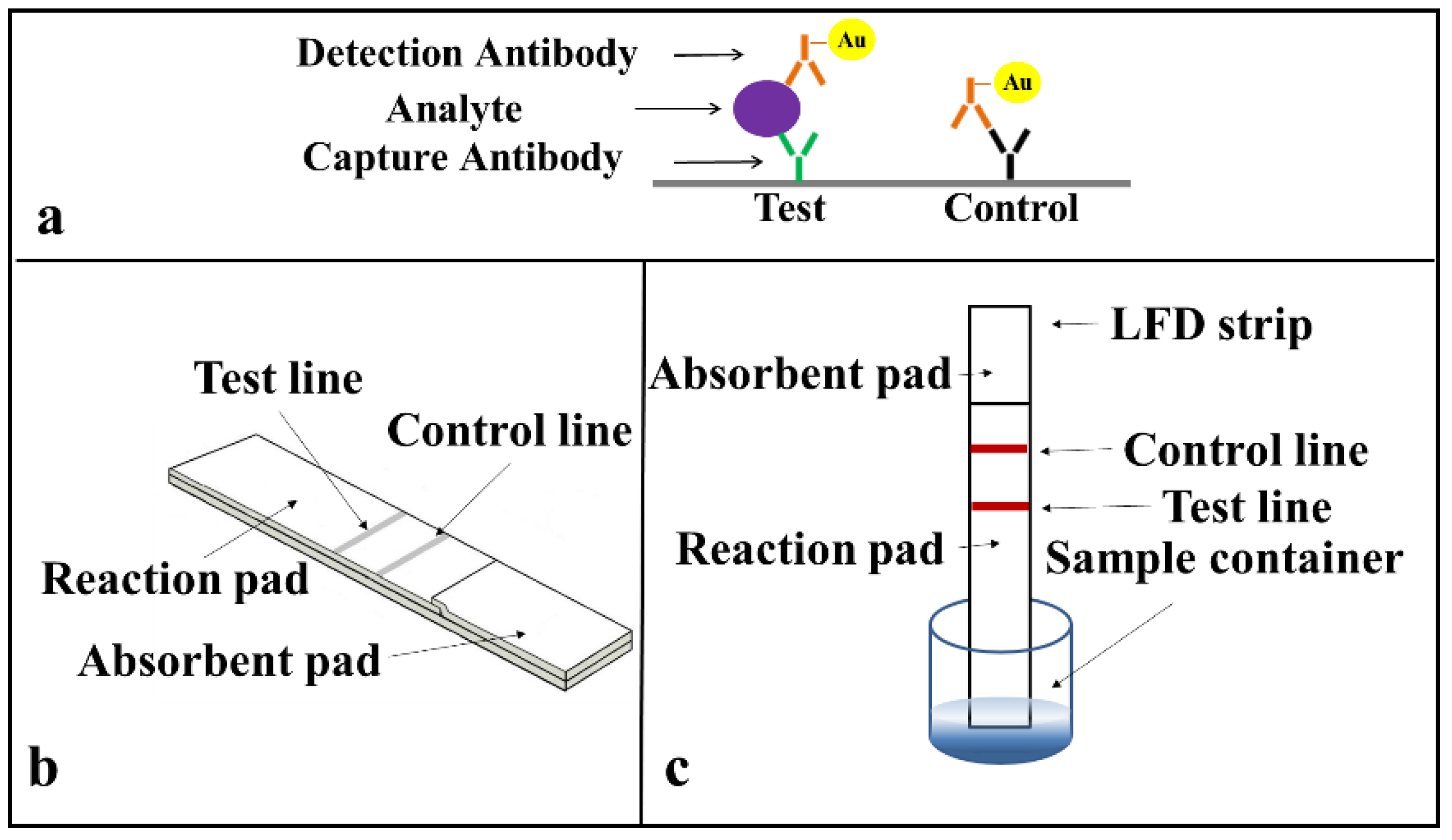 Biosensors 08 00097 g003