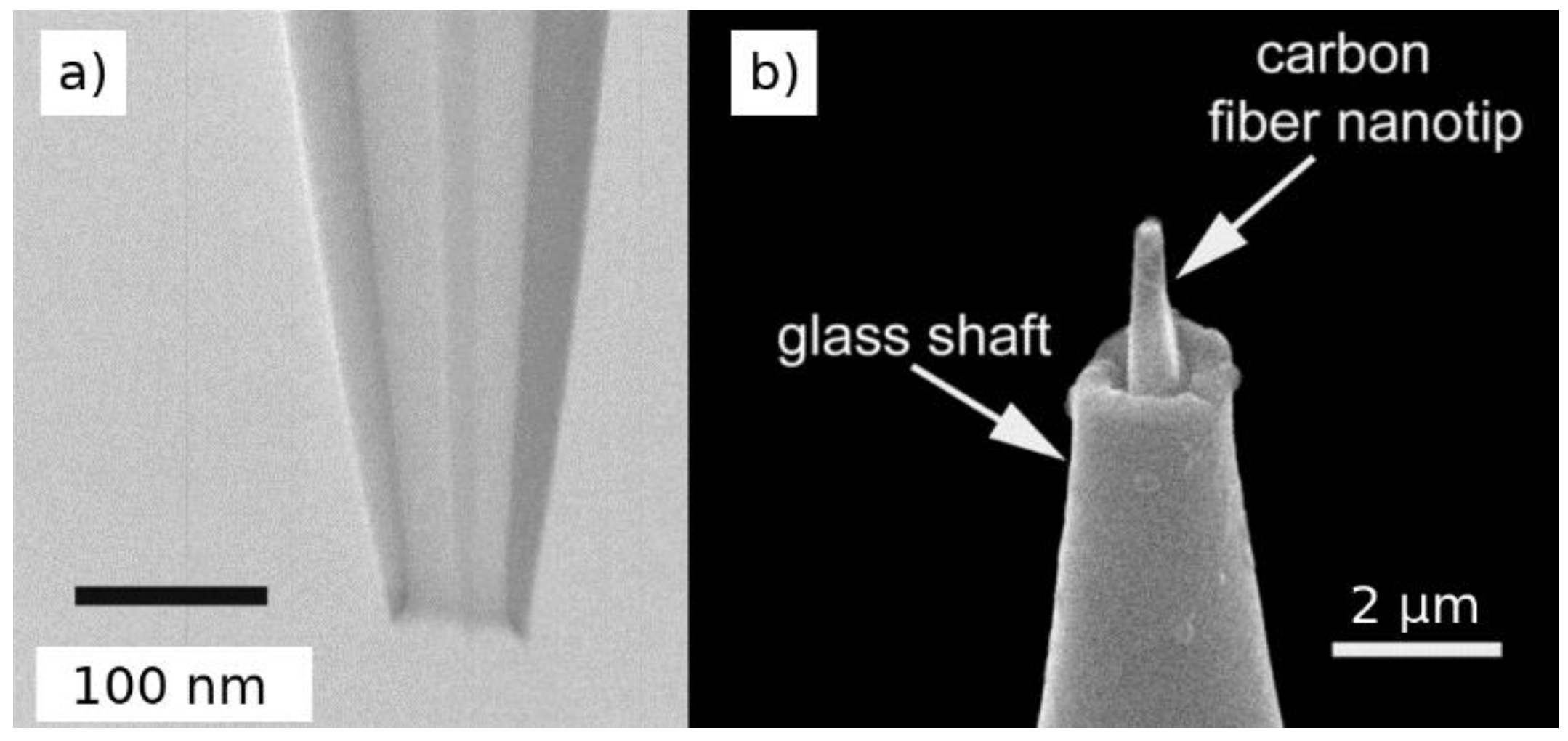 Biosensors 08 00100 g001