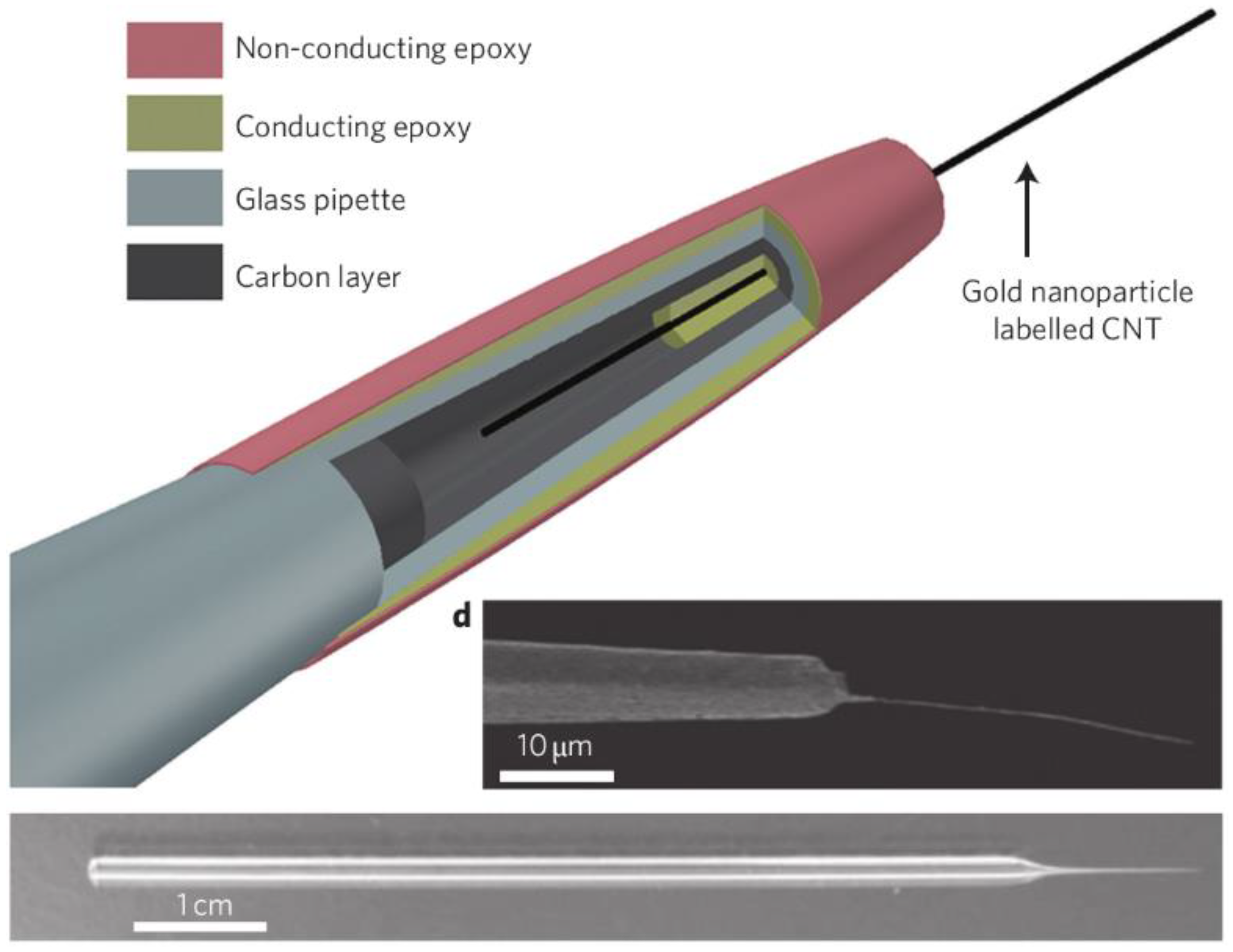 Biosensors 08 00100 g002