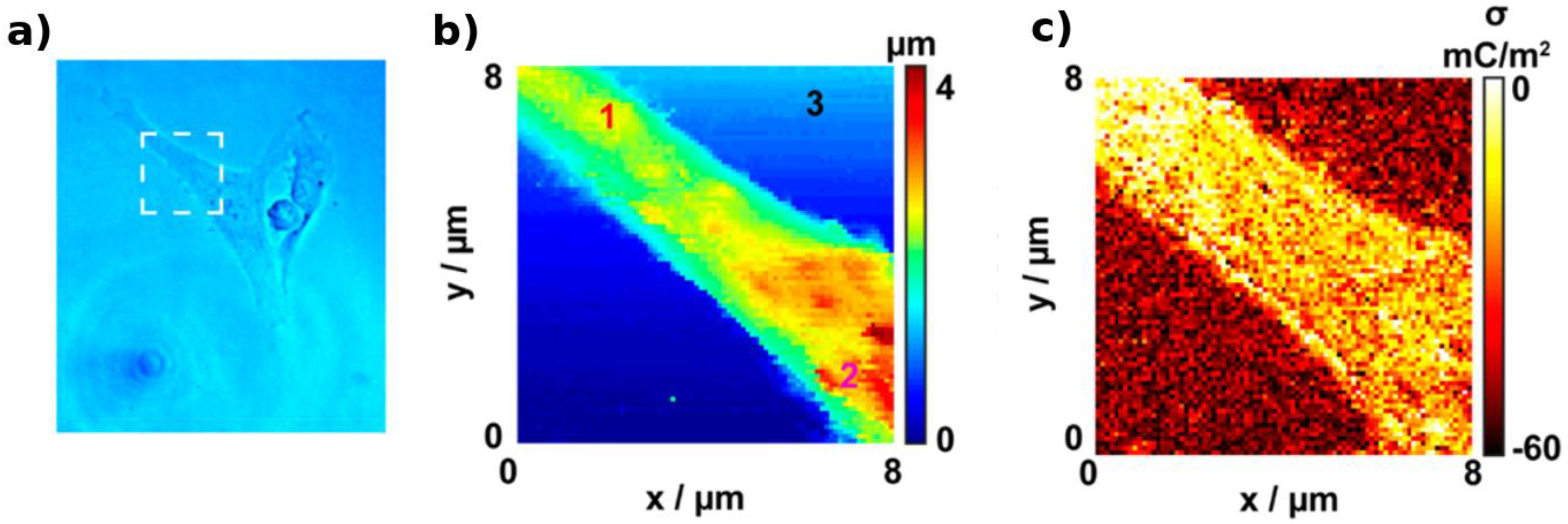 Biosensors 08 00100 g003