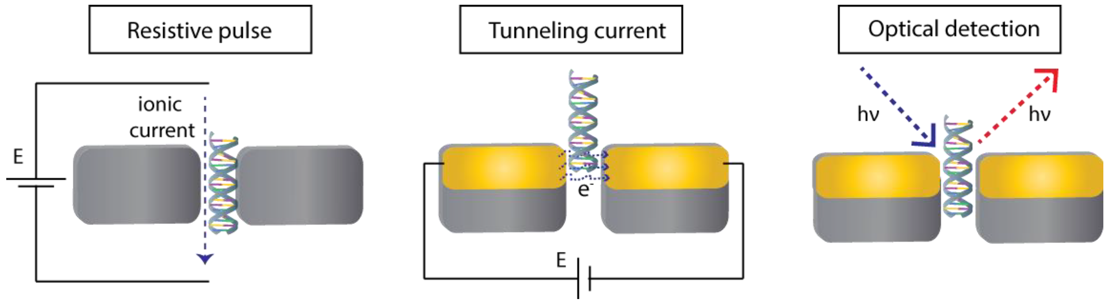Biosensors 08 00100 g004