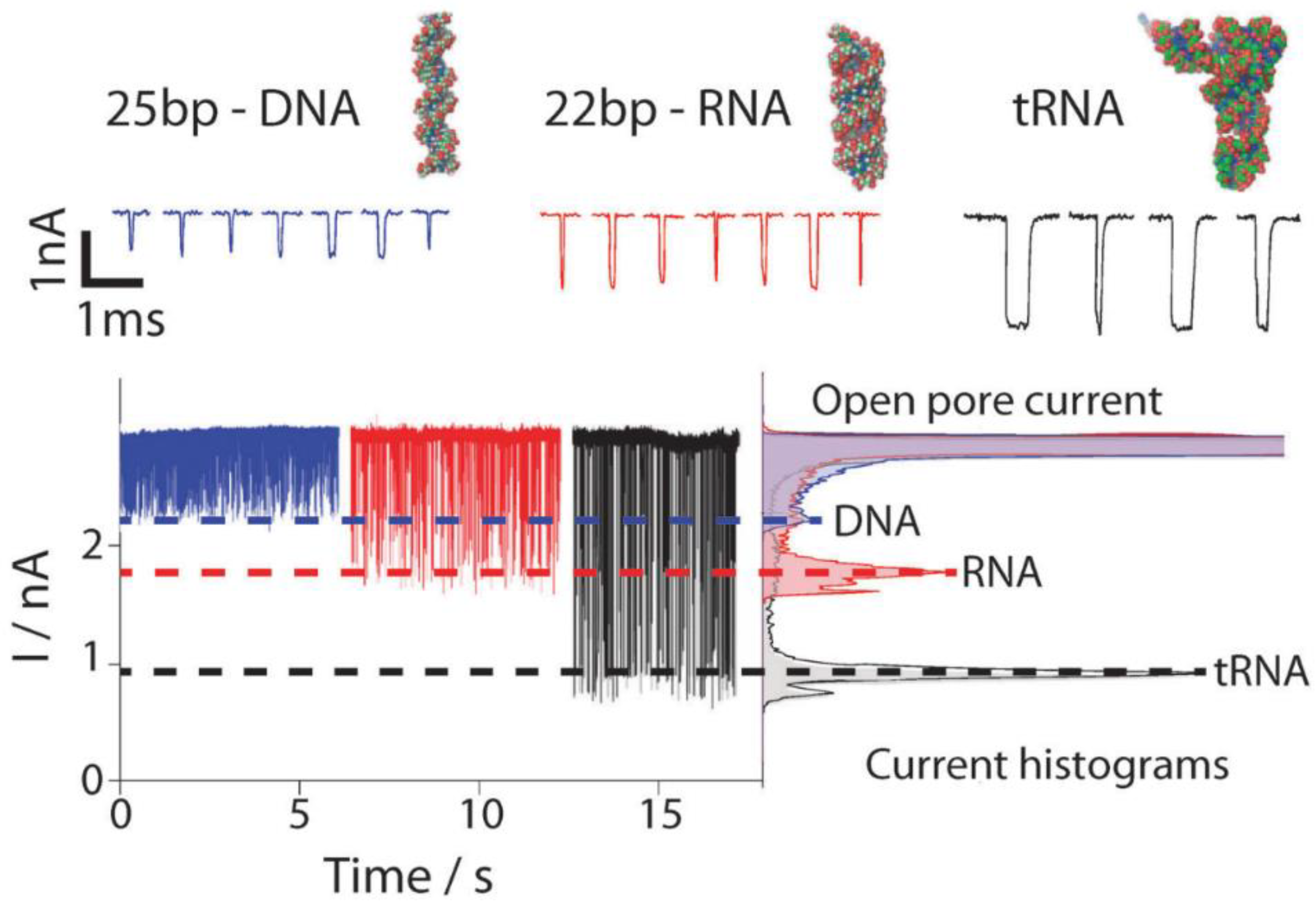 Biosensors 08 00100 g005