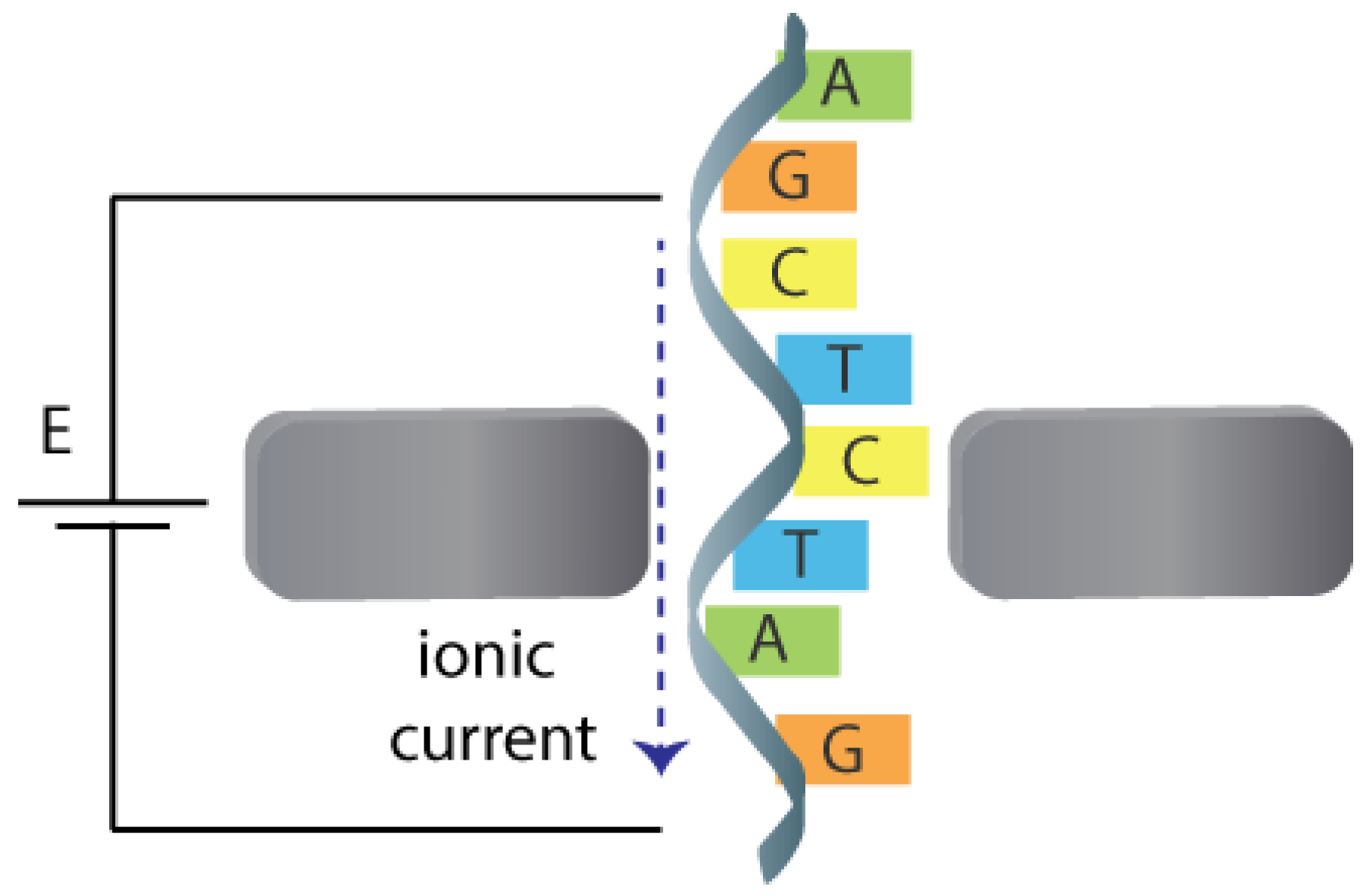 Biosensors 08 00100 g006