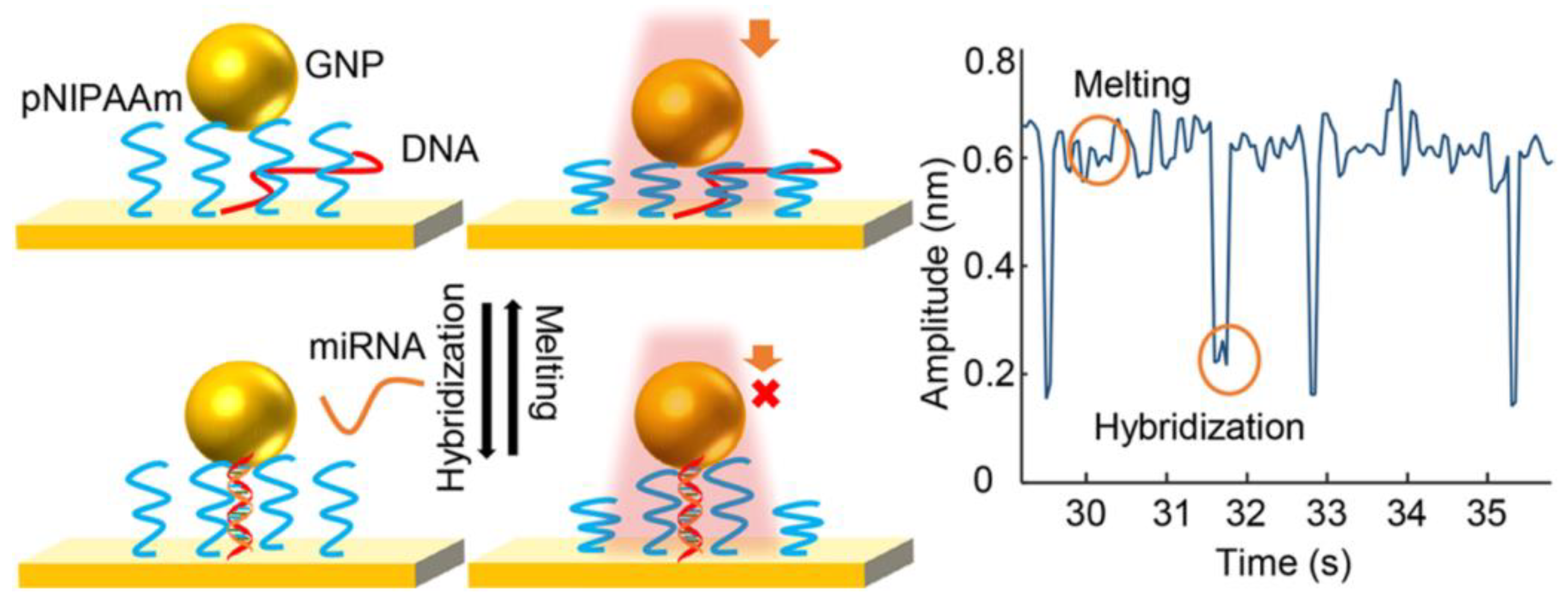 Biosensors 08 00100 g009