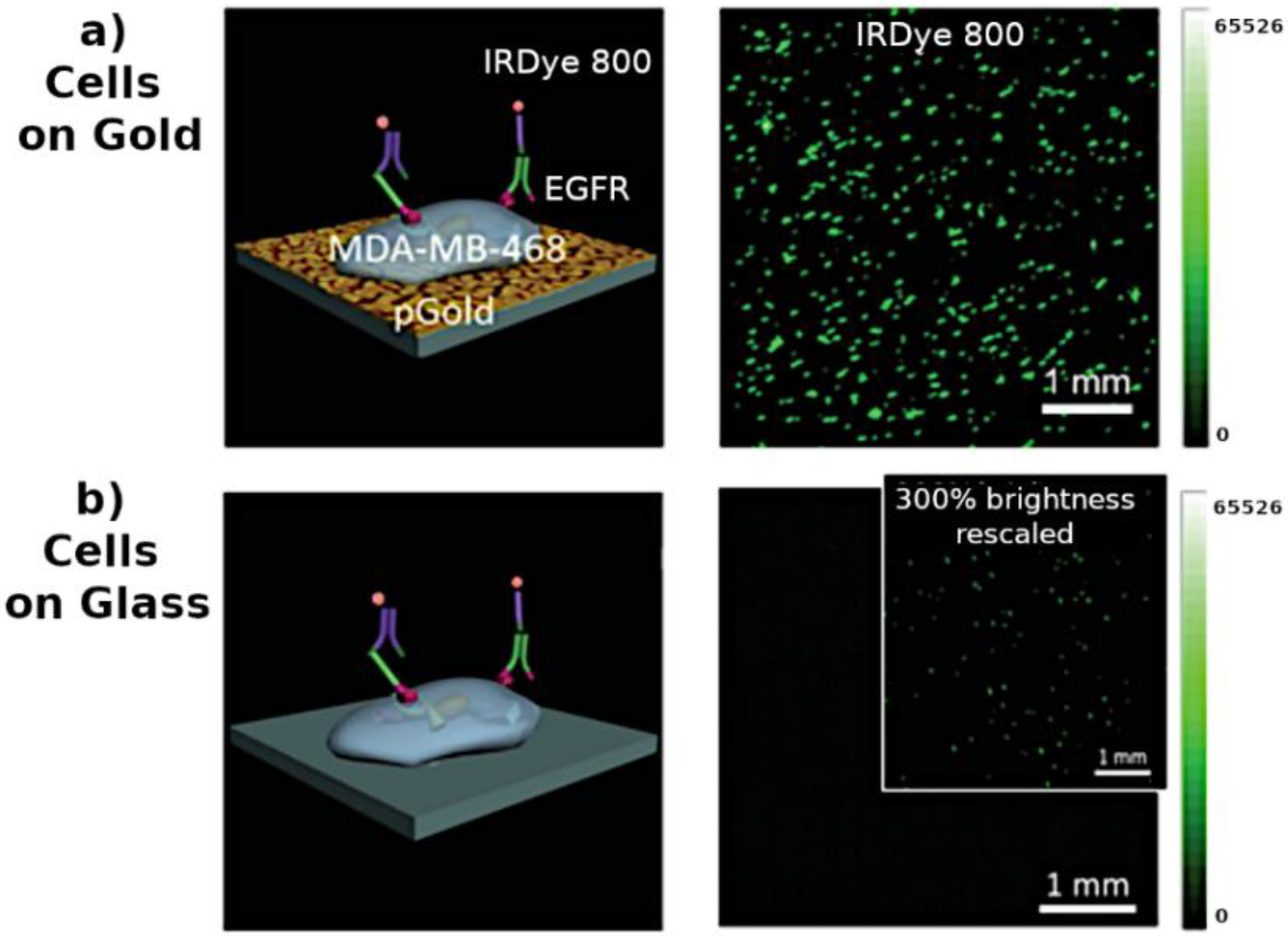 Biosensors 08 00100 g010