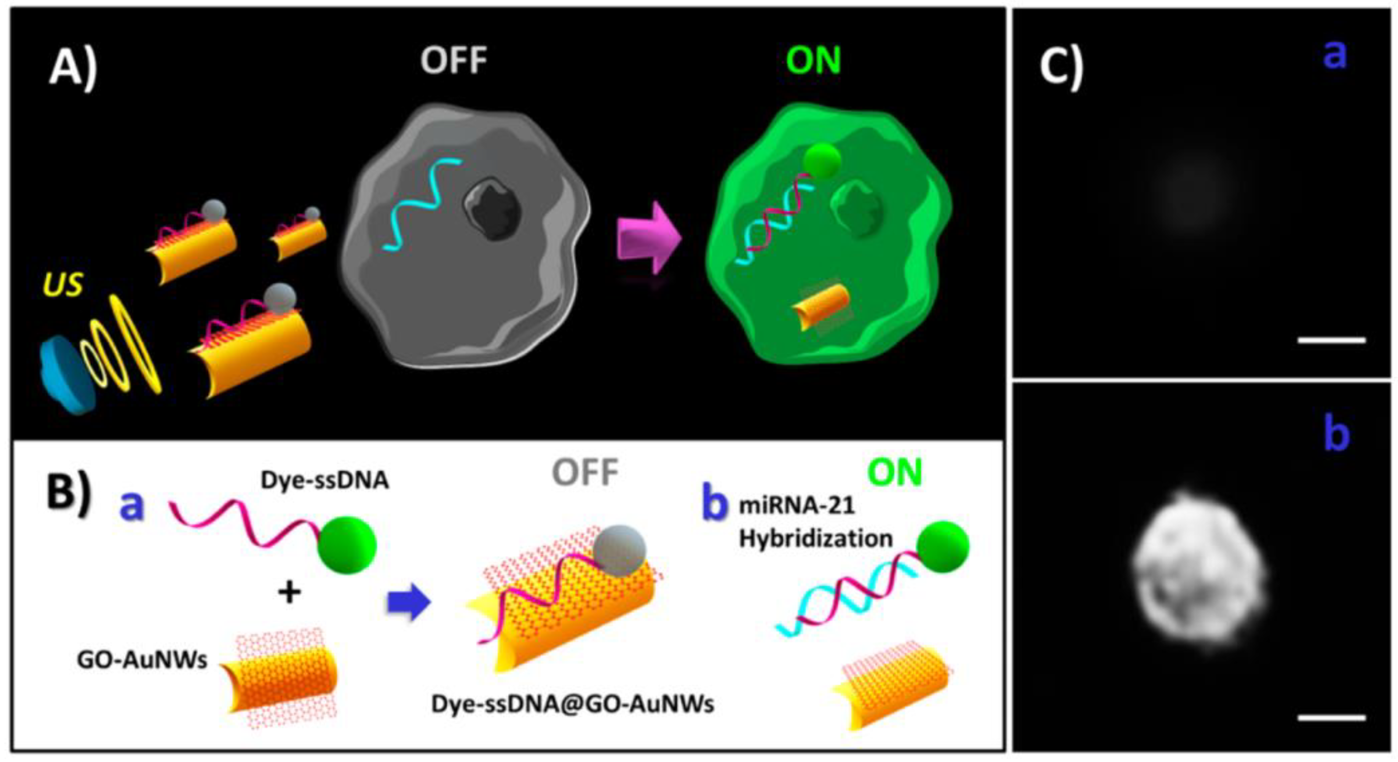 Biosensors 08 00100 g013
