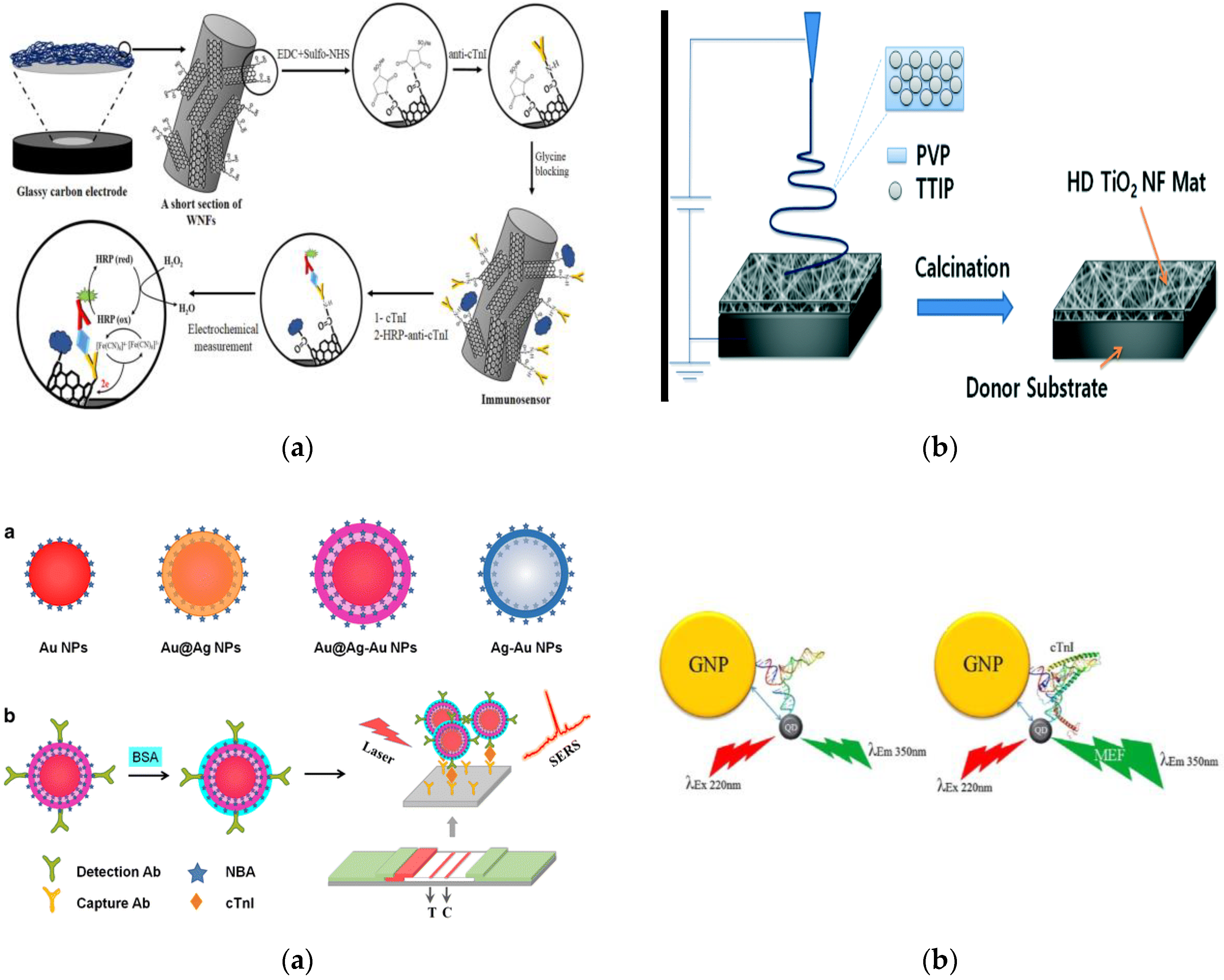 Biosensors 08 00114 g002