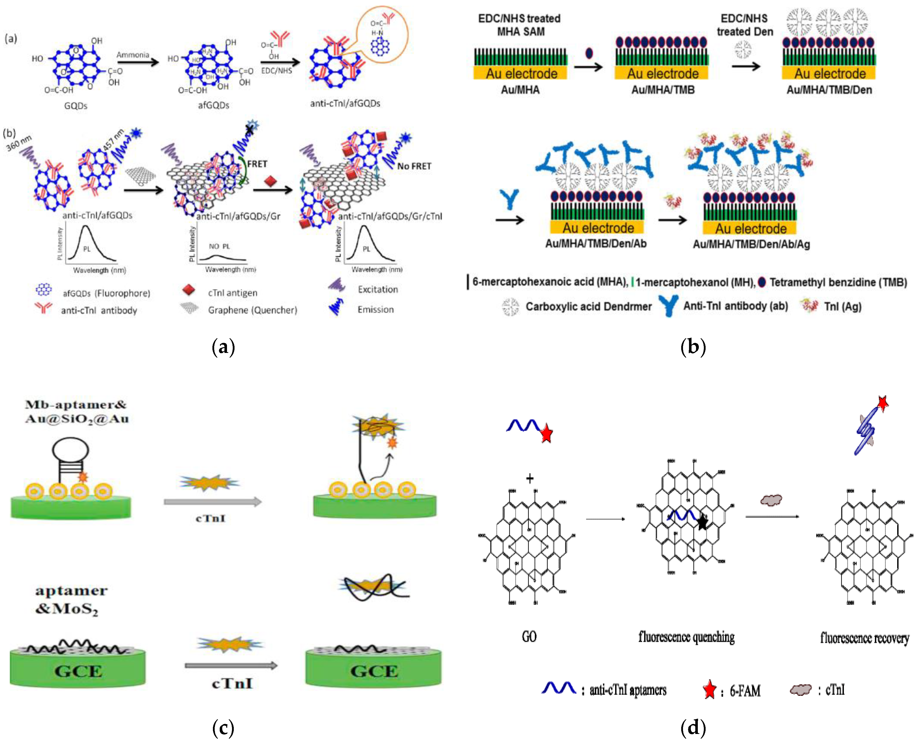 Biosensors 08 00114 g005