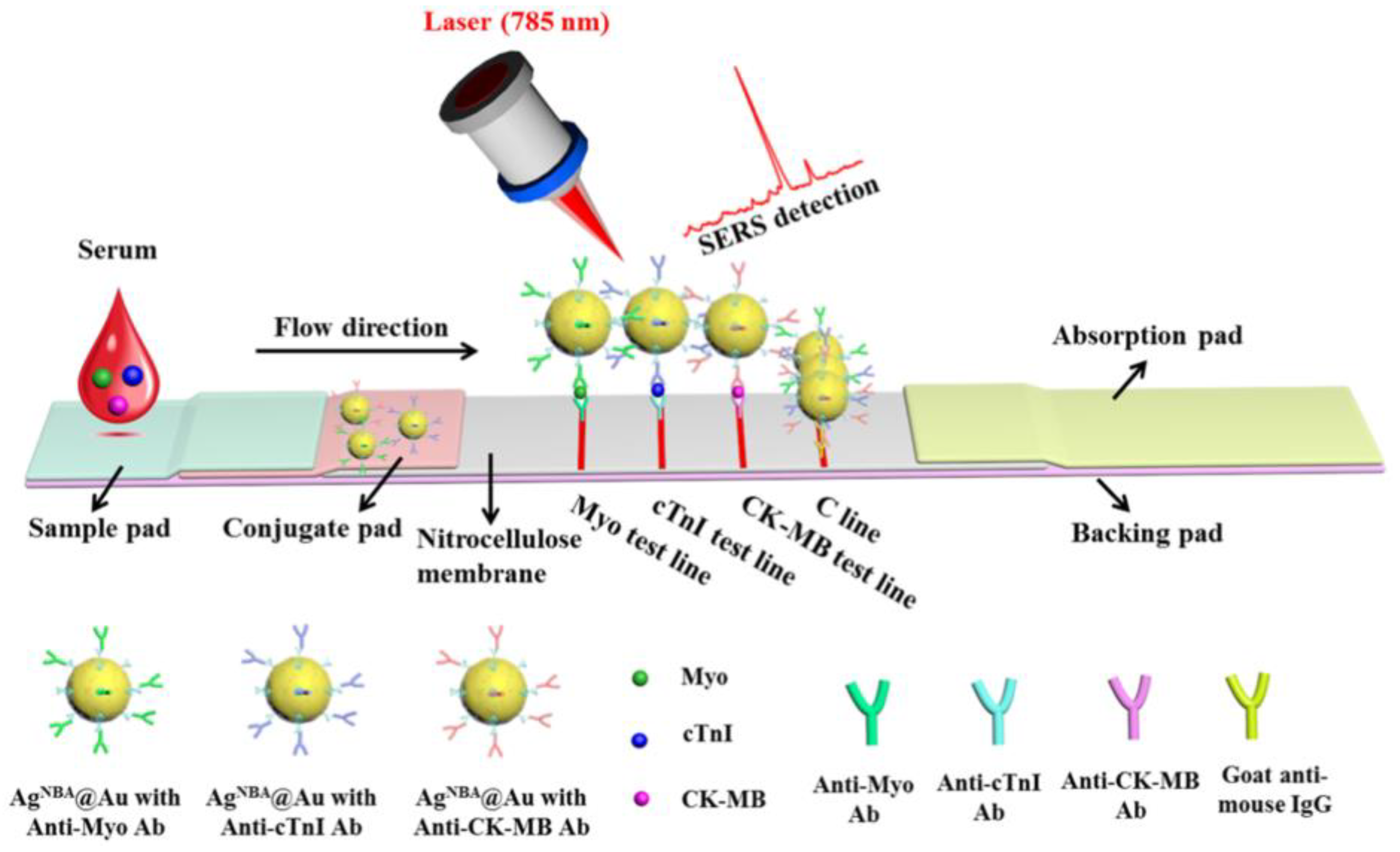 Biosensors 08 00114 g007