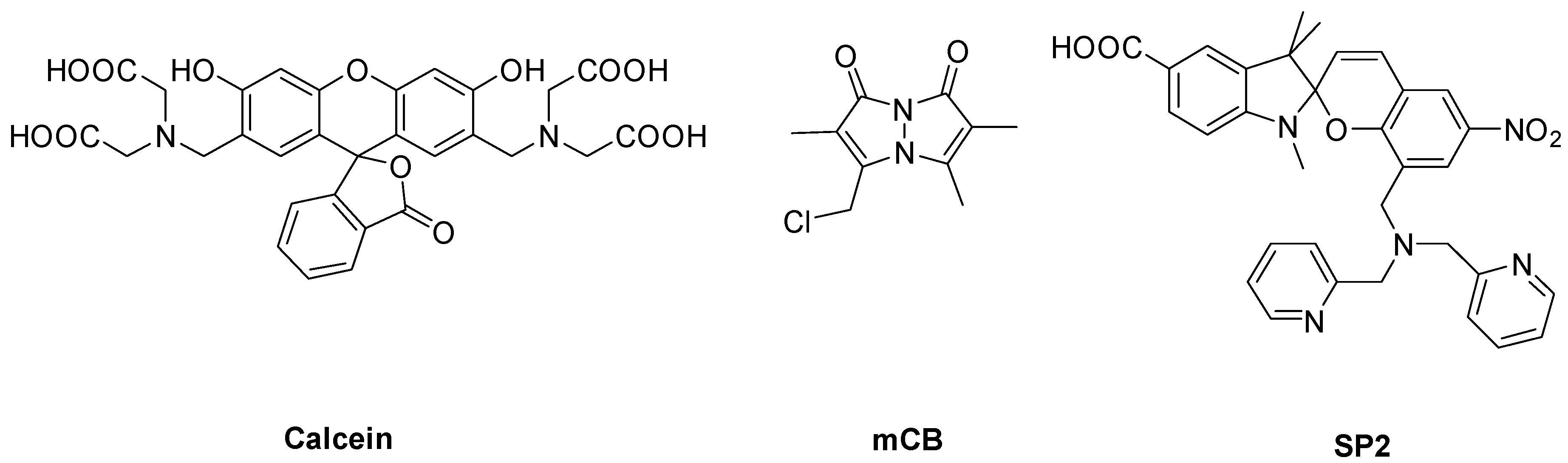 Biosensors 08 00117 g001