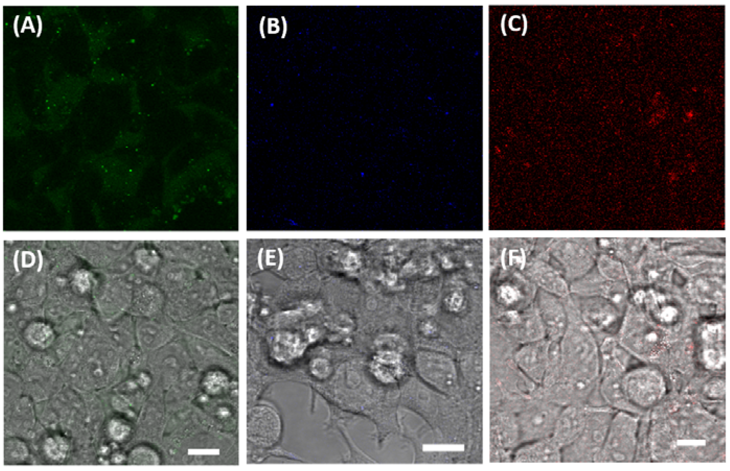 Biosensors 08 00117 g005