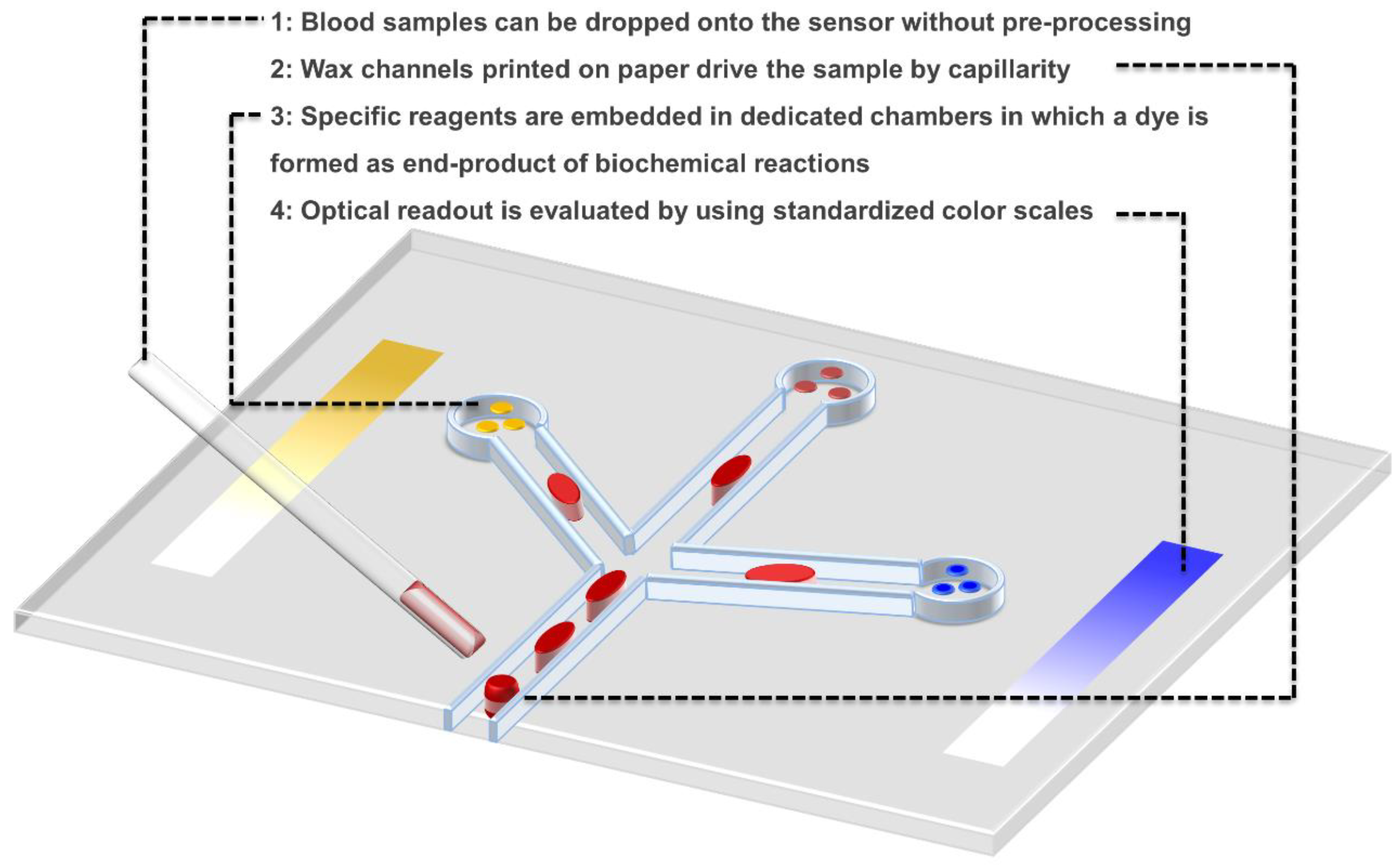 Biosensors 08 00119 g002