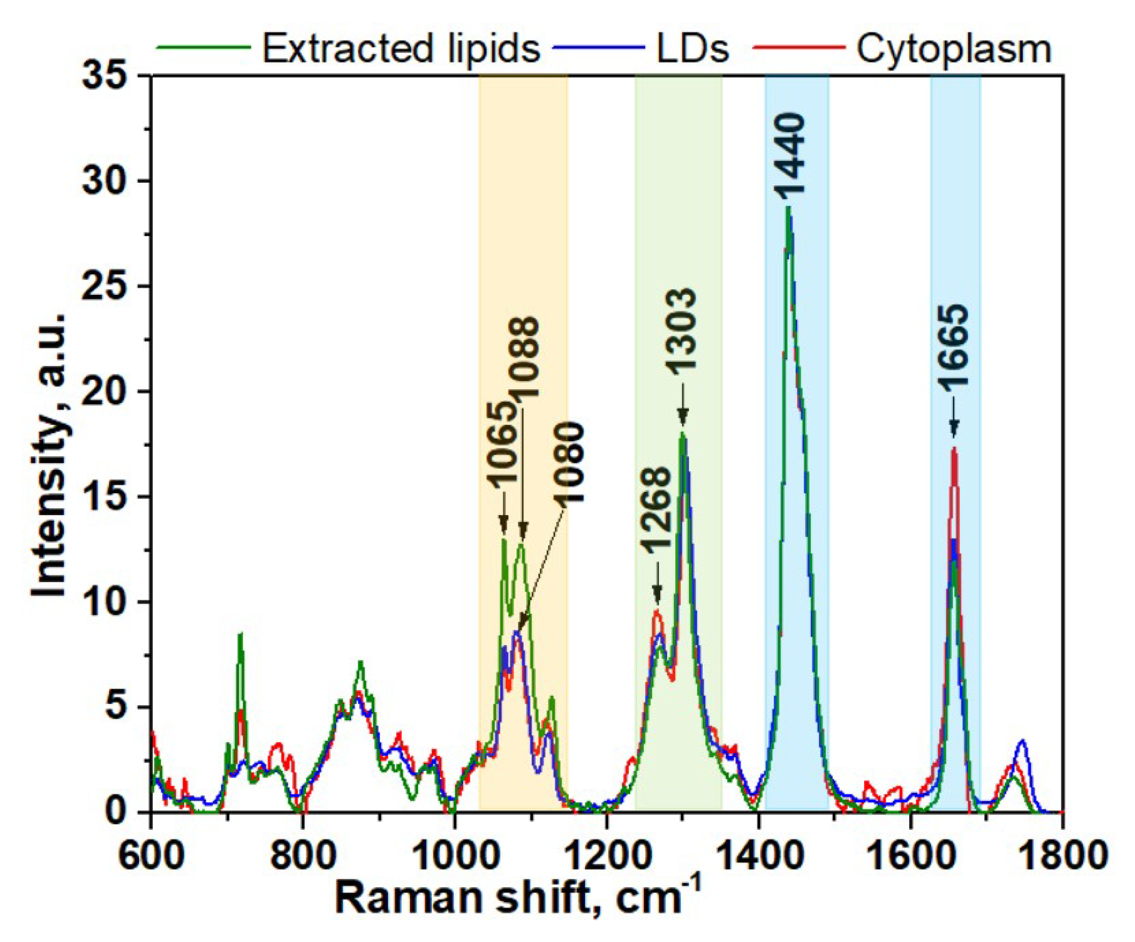 Biosensors 08 00123 g002