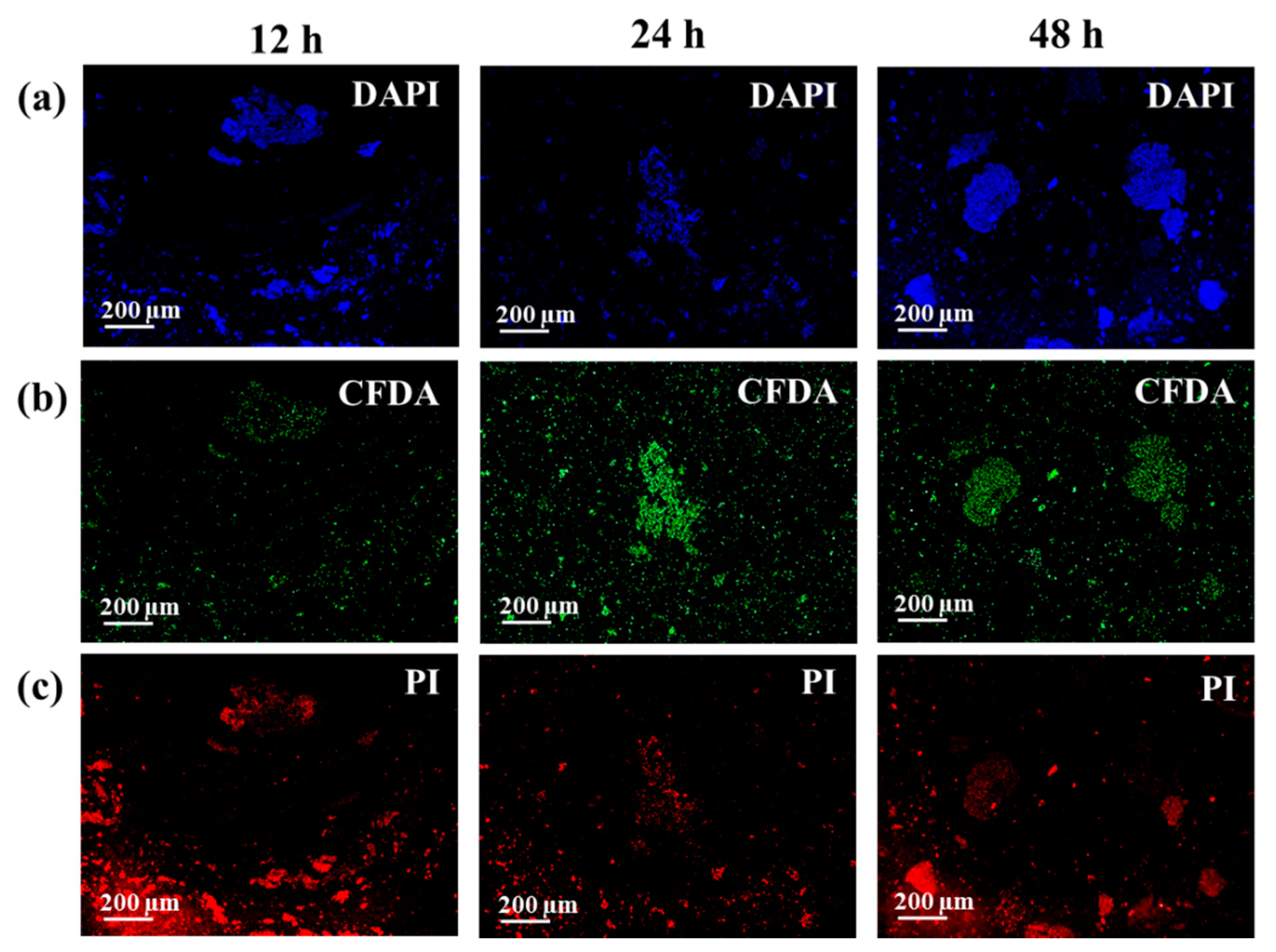 Biosensors 08 00131 g004