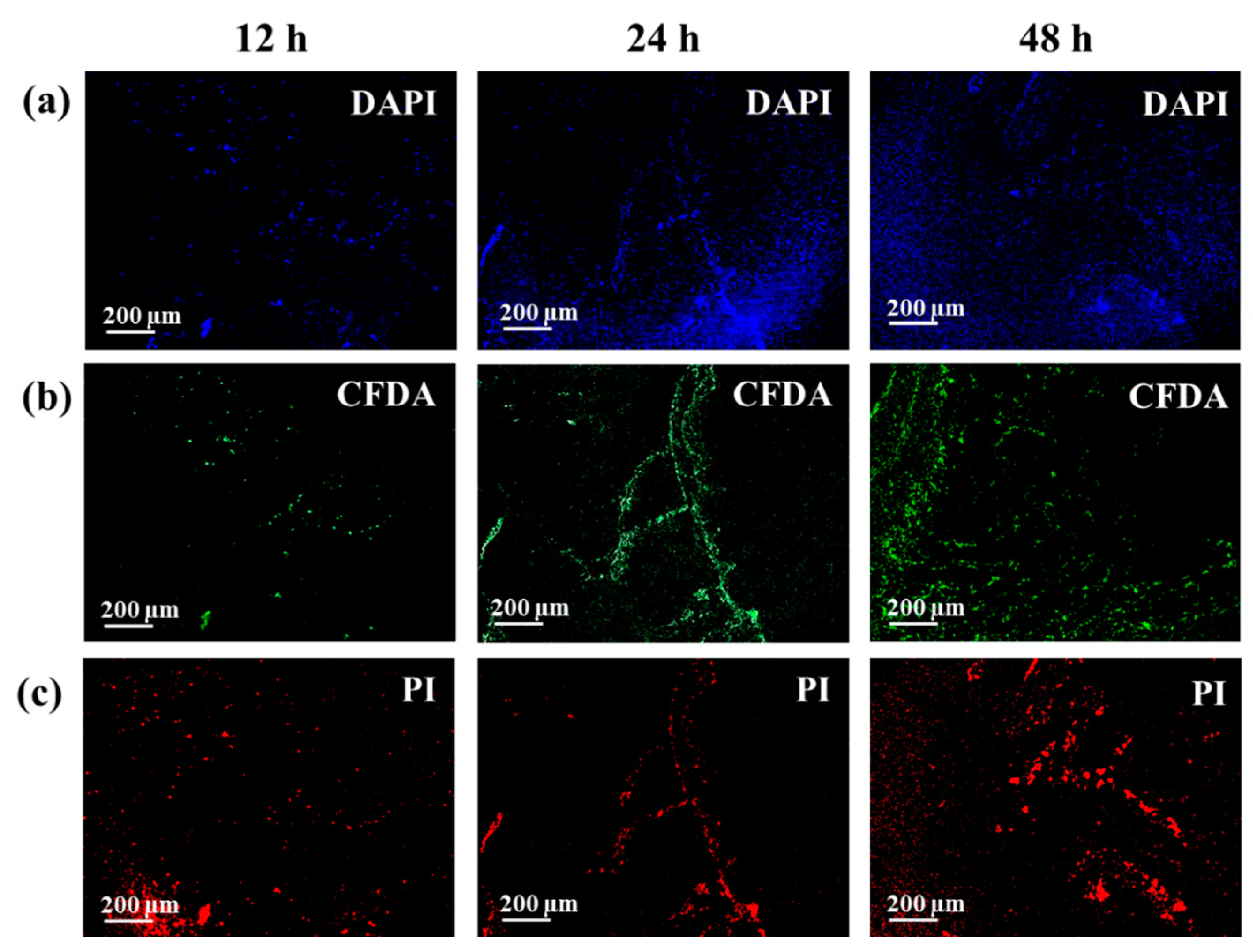 Biosensors 08 00131 g005