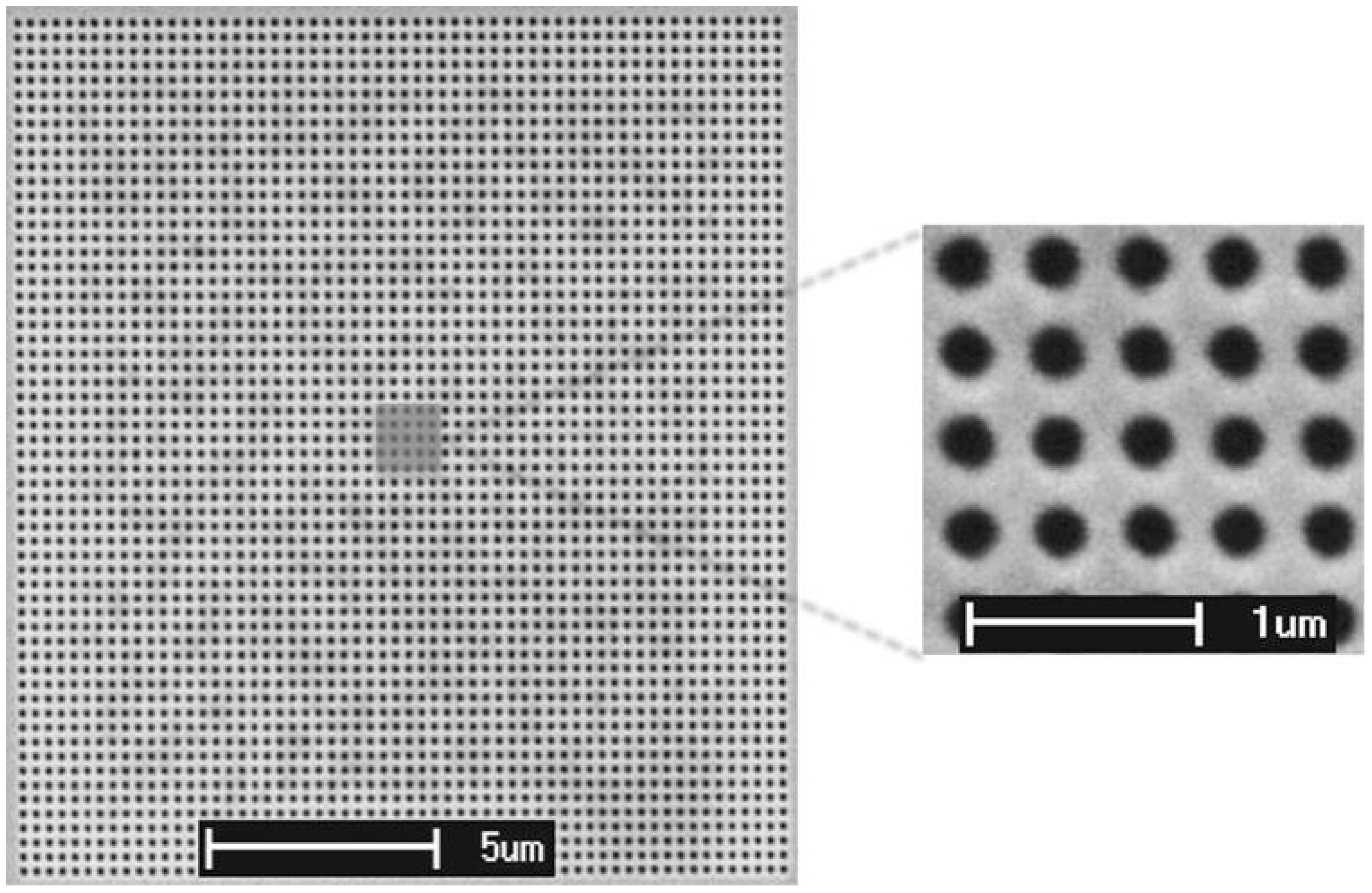 Biosensors 08 00132 g002