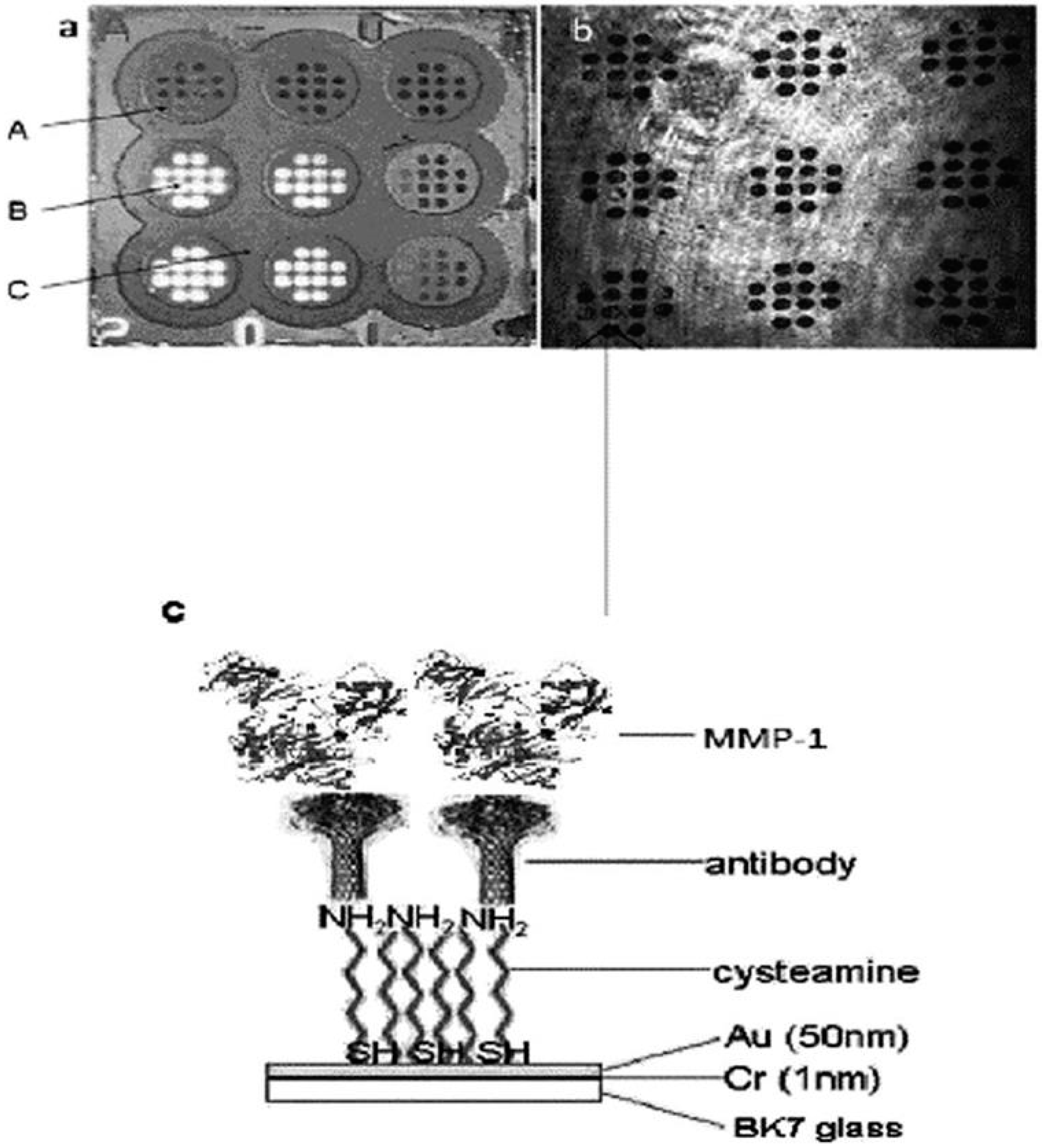 Biosensors 08 00132 g004