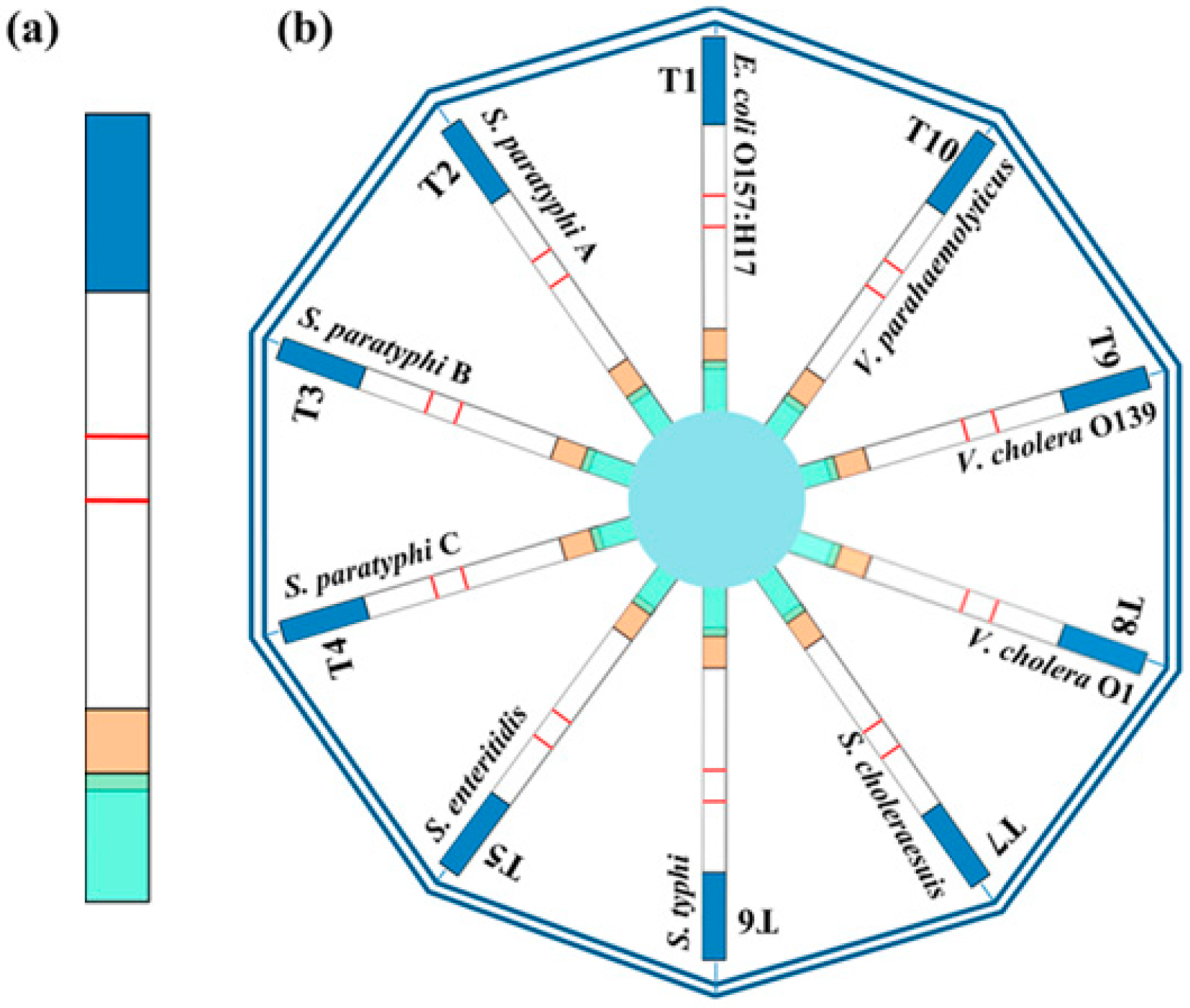 Biosensors 09 00002 g005