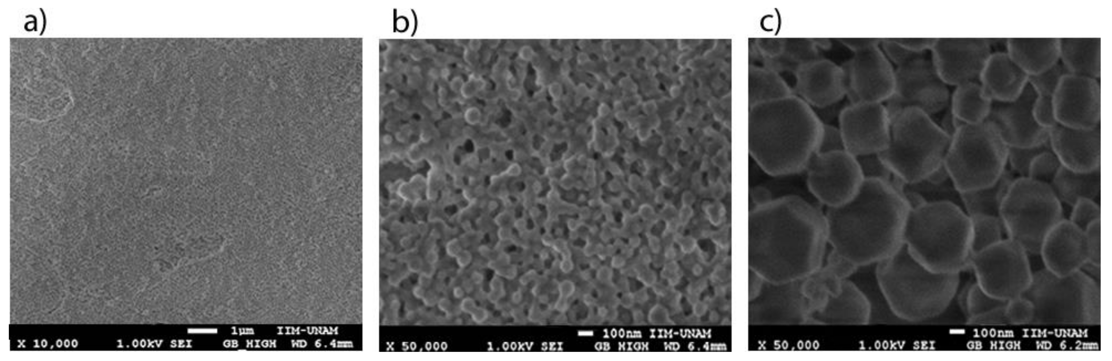 Biosensors 09 00004 g006 Biosensors 09 00004 g006