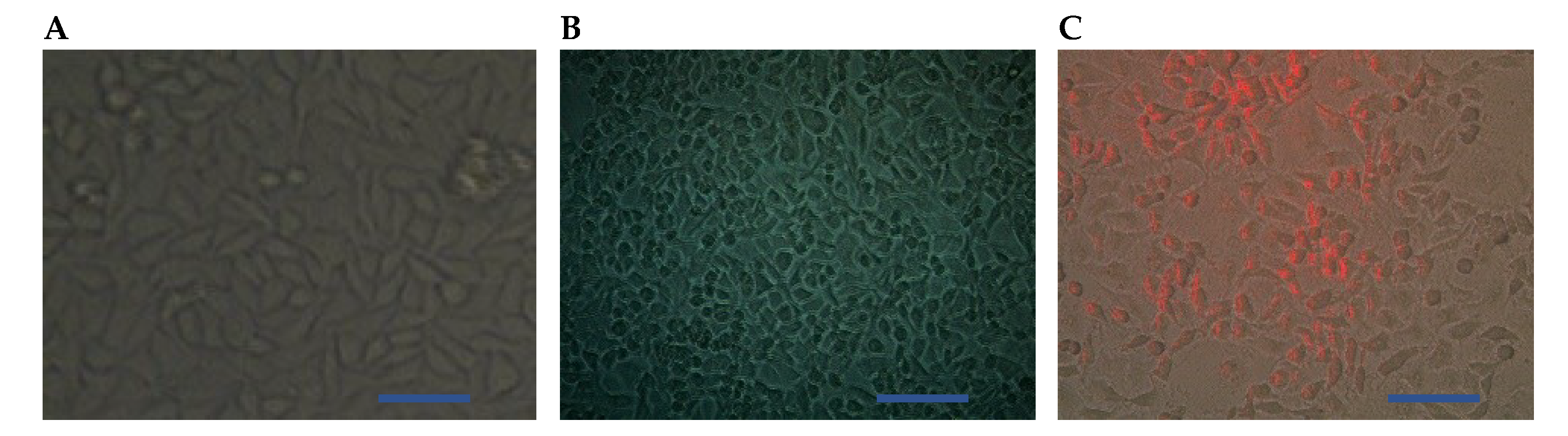Biosensors 09 00028 g005 Biosensors 09 00028 g005