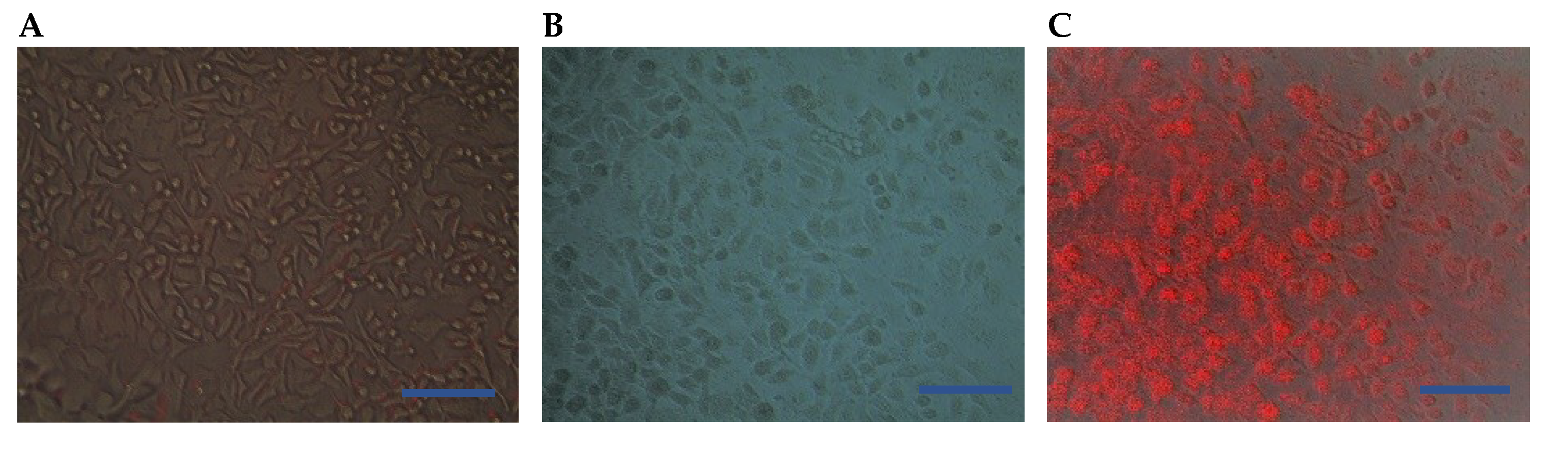 Biosensors 09 00028 g006 Biosensors 09 00028 g006