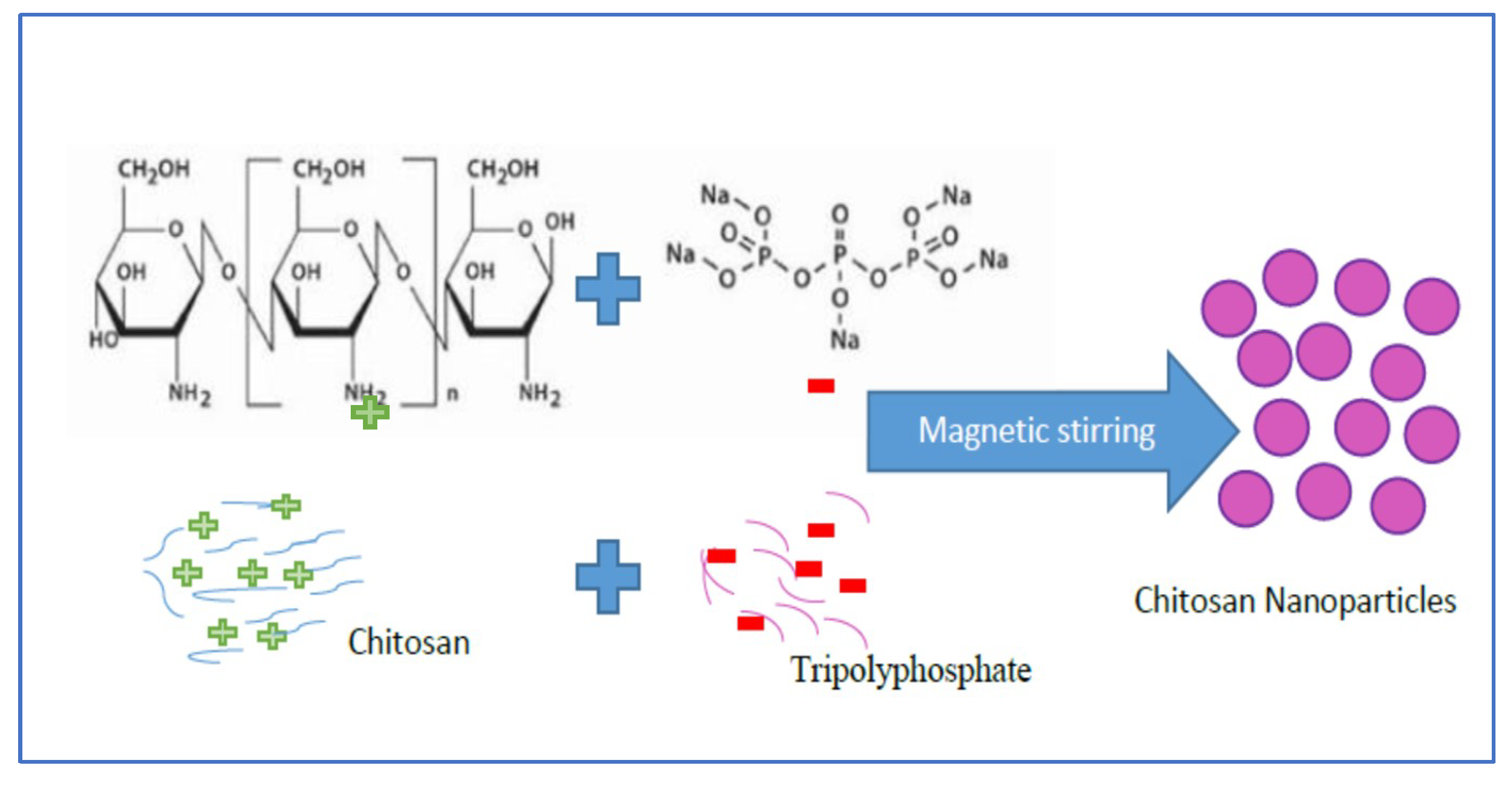 Biosensors 09 00028 sch002 Biosensors 09 00028 sch002