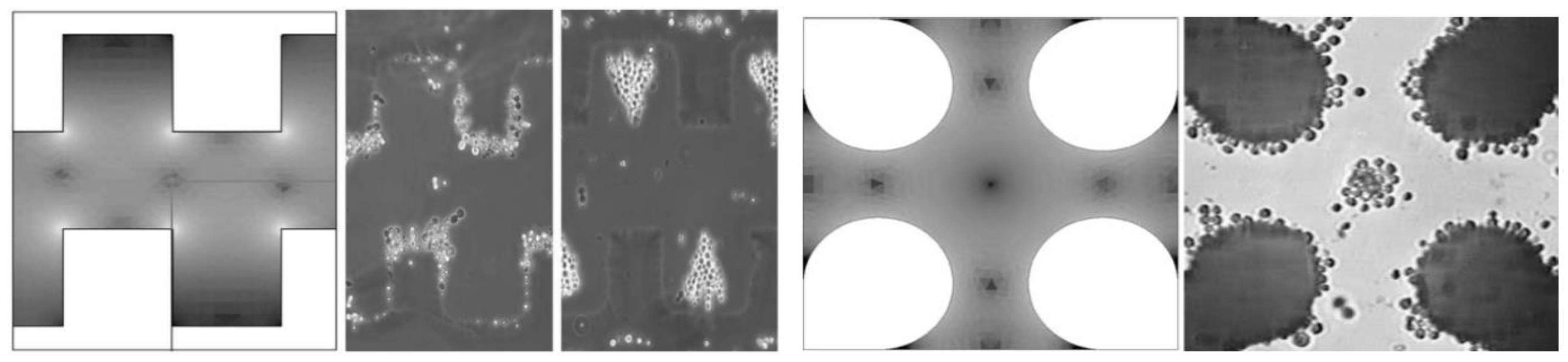Biosensors 09 00030 g002