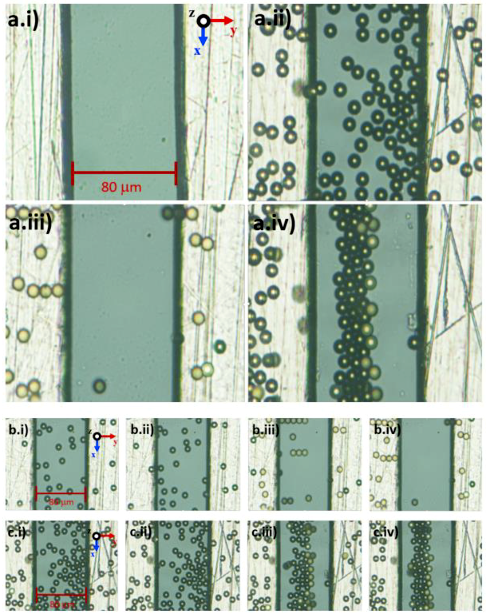 Biosensors 09 00030 g010