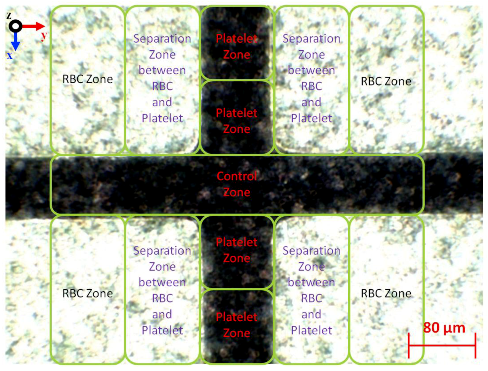 Biosensors 09 00030 g011