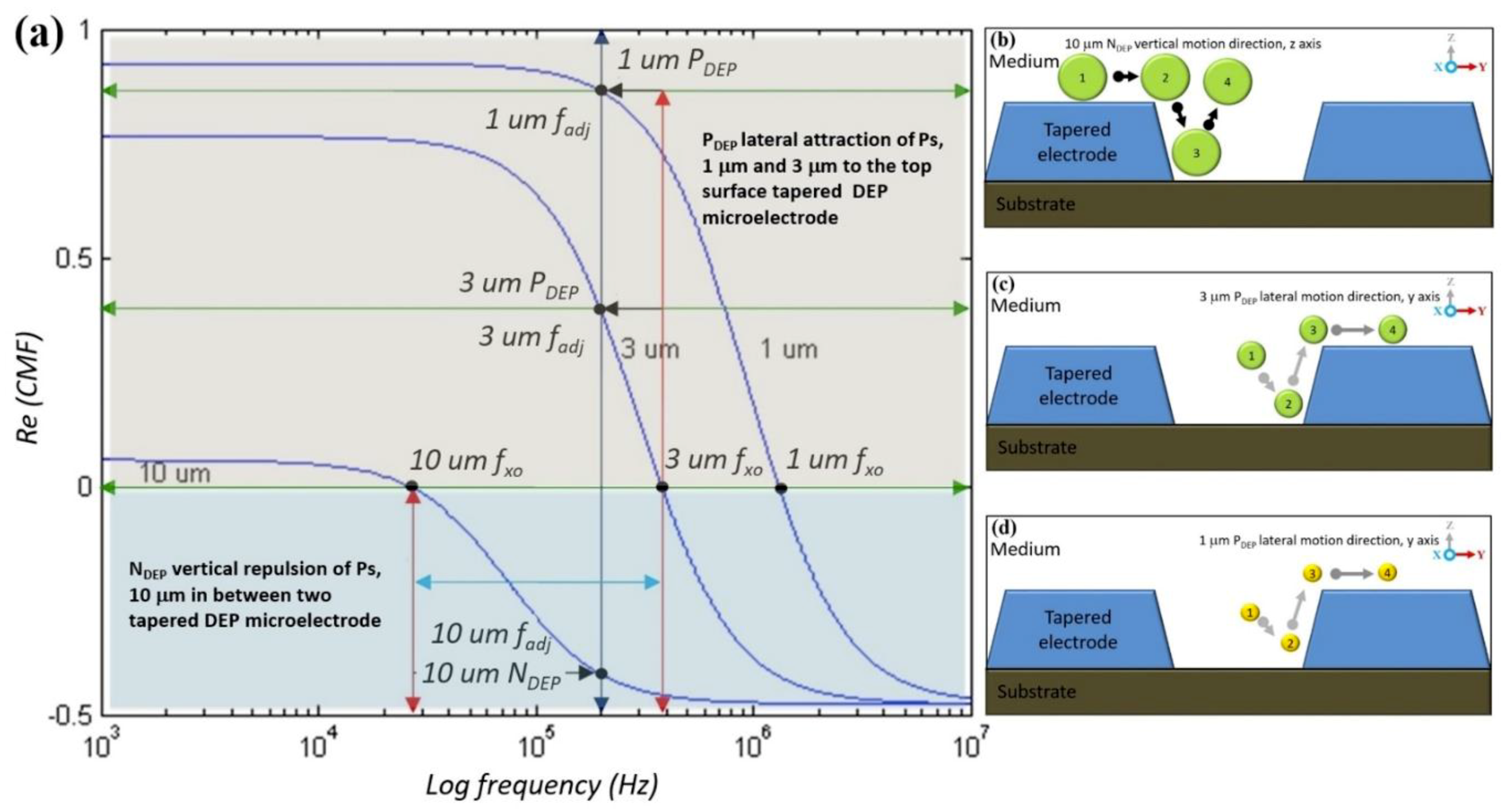 Biosensors 09 00030 g014
