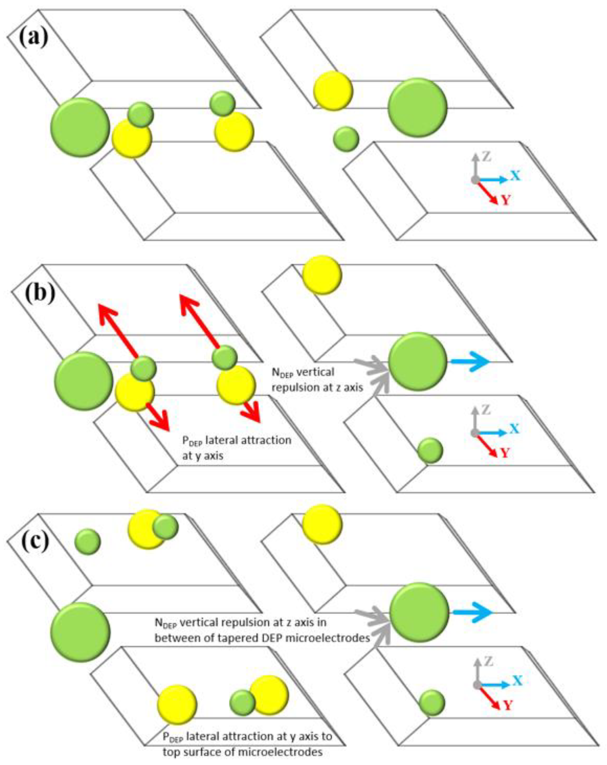 Biosensors 09 00030 g016
