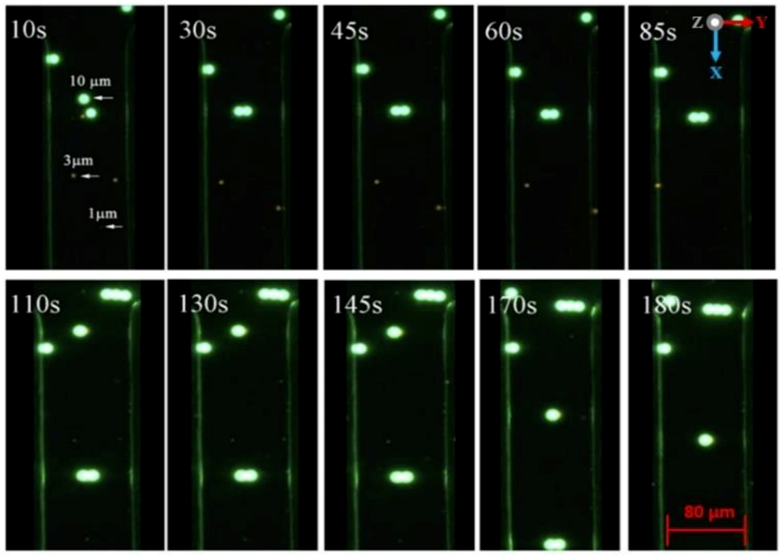Biosensors 09 00030 g017