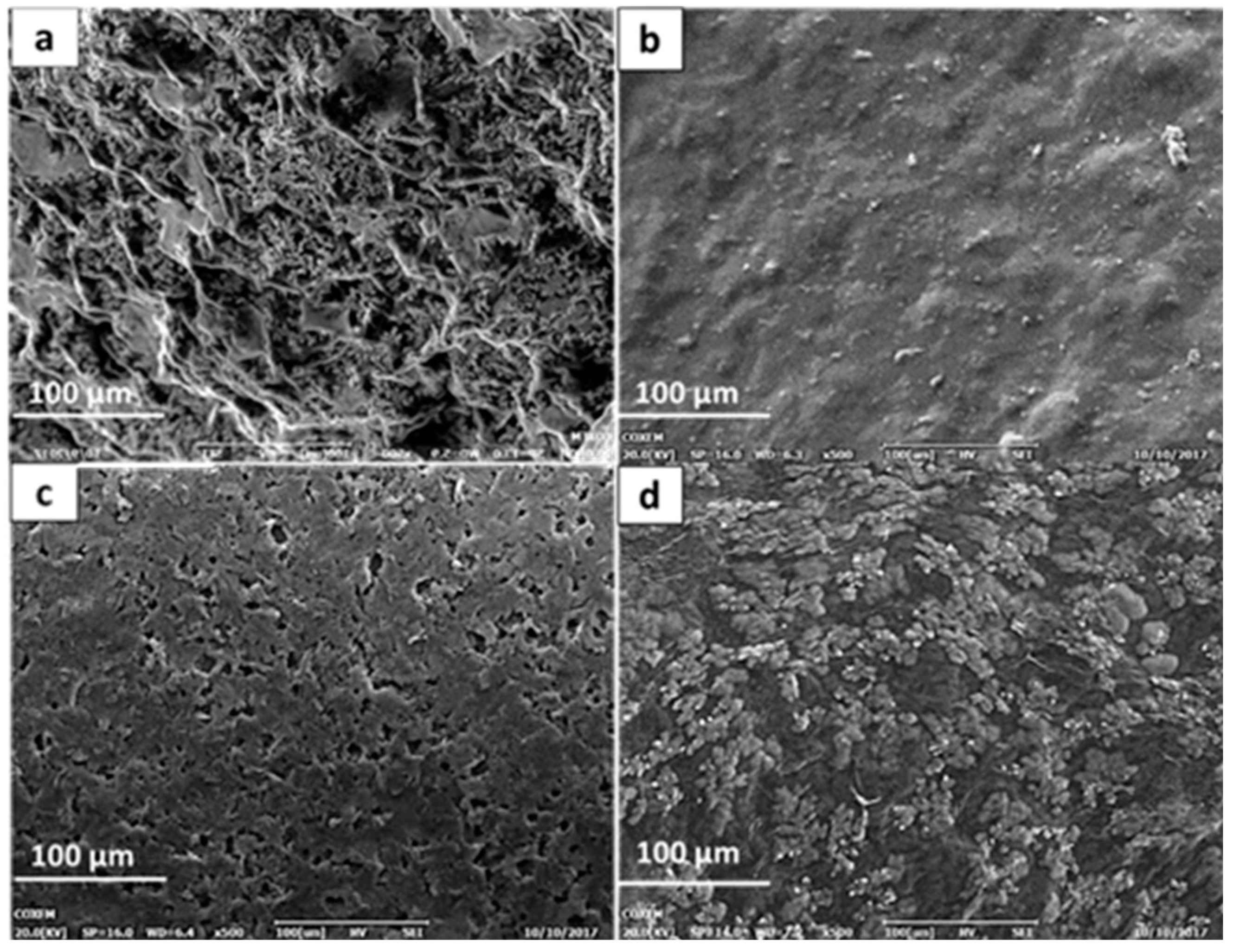 Biosensors 09 00036 g002 Biosensors 09 00036 g002