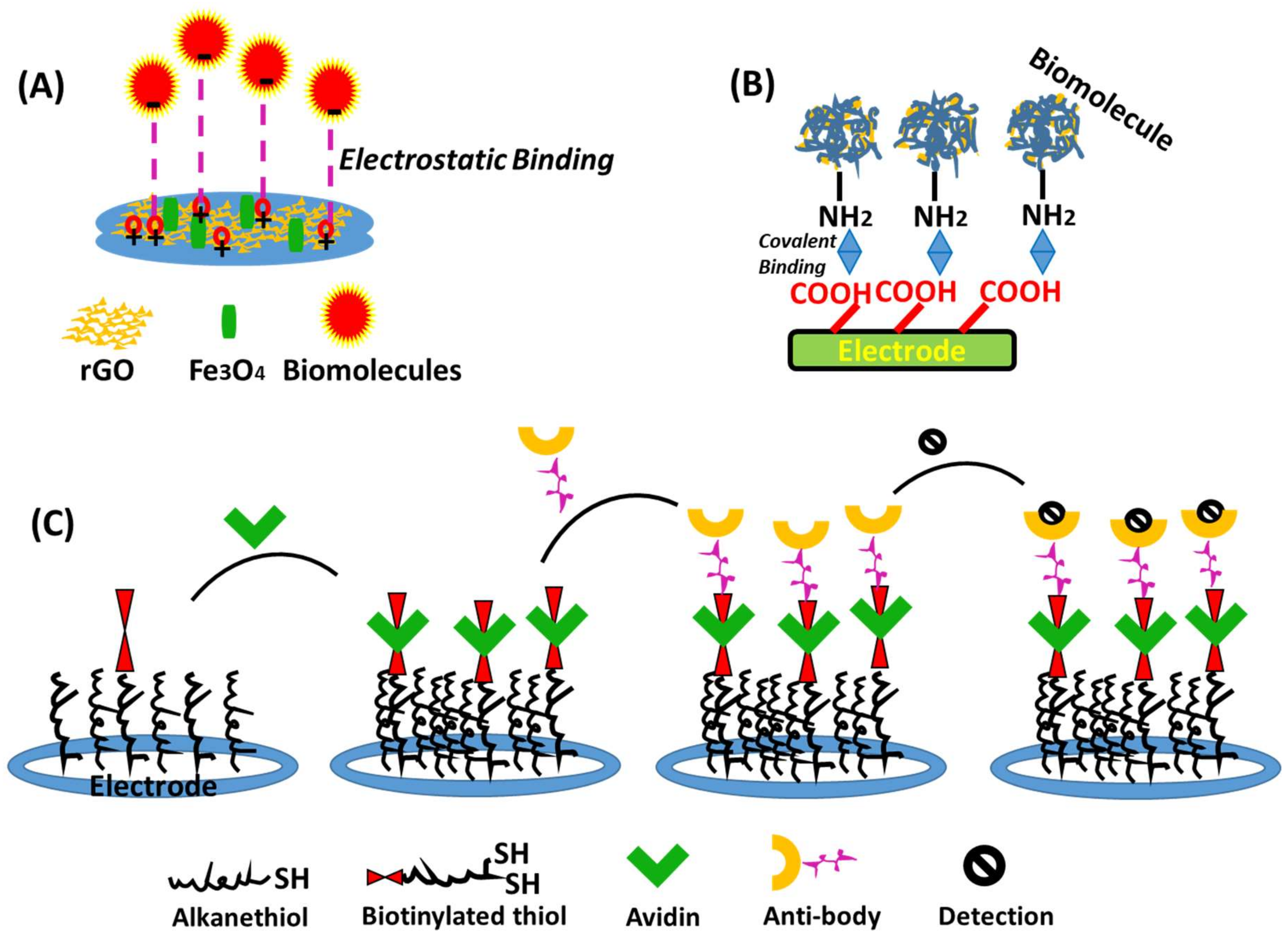 Biosensors 09 00046 g001