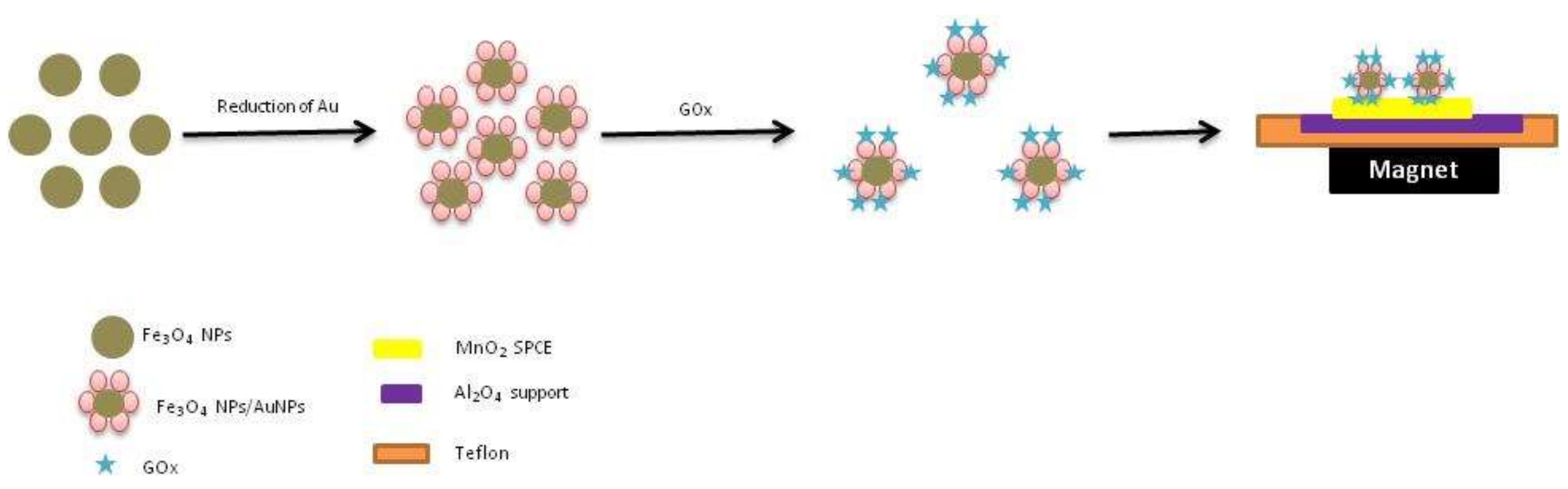 Biosensors 09 00046 g005