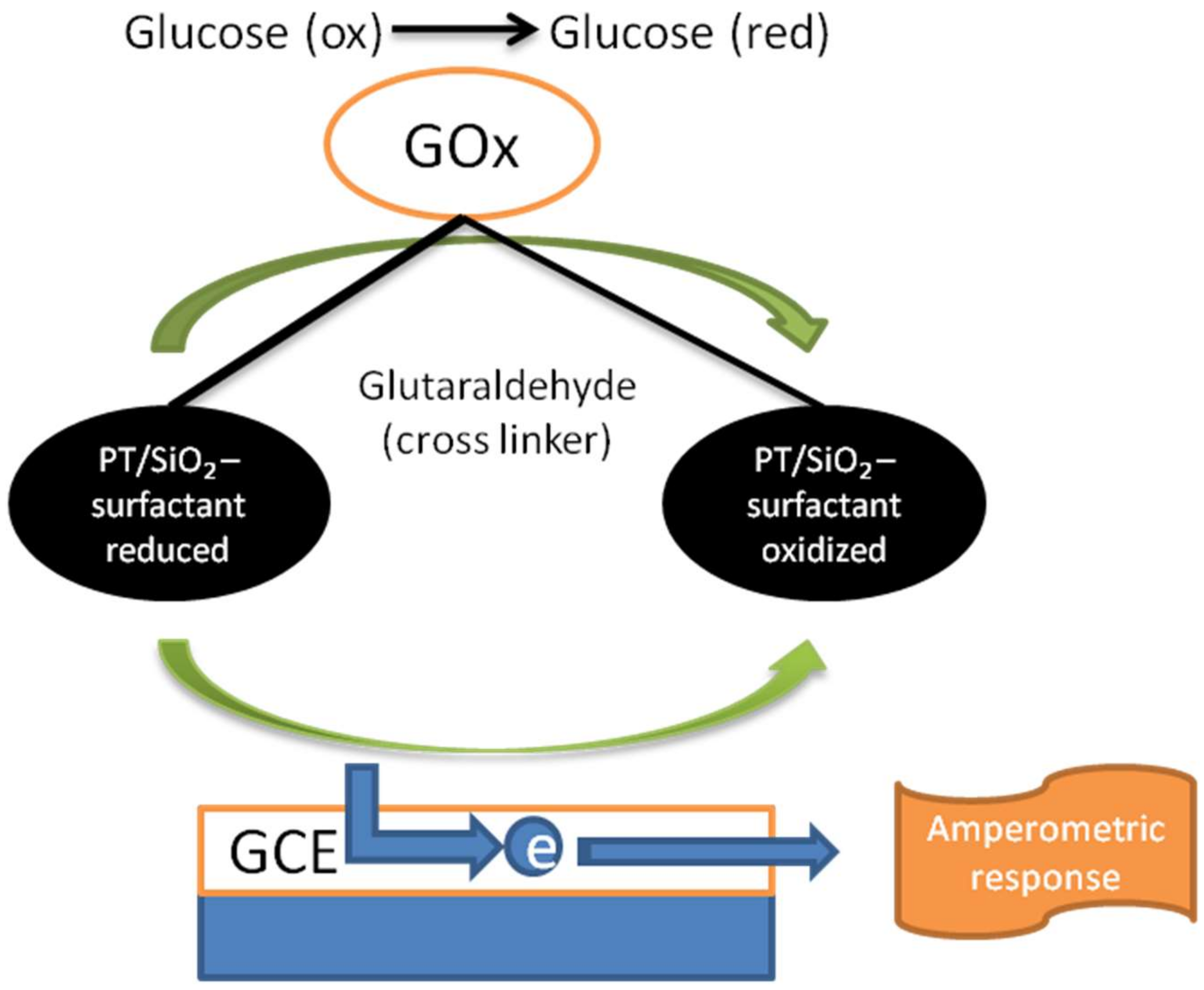 Biosensors 09 00046 g006
