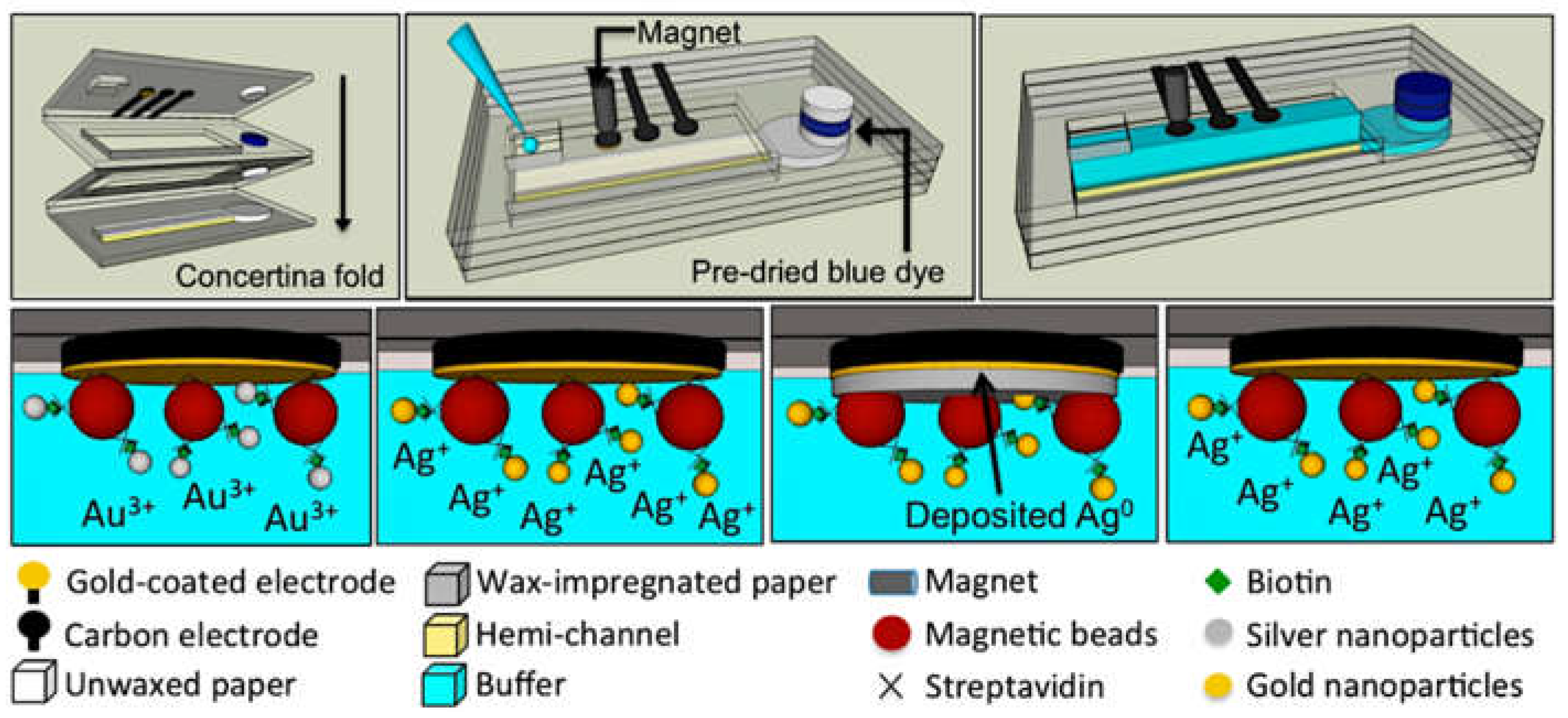 Biosensors 09 00047 g003