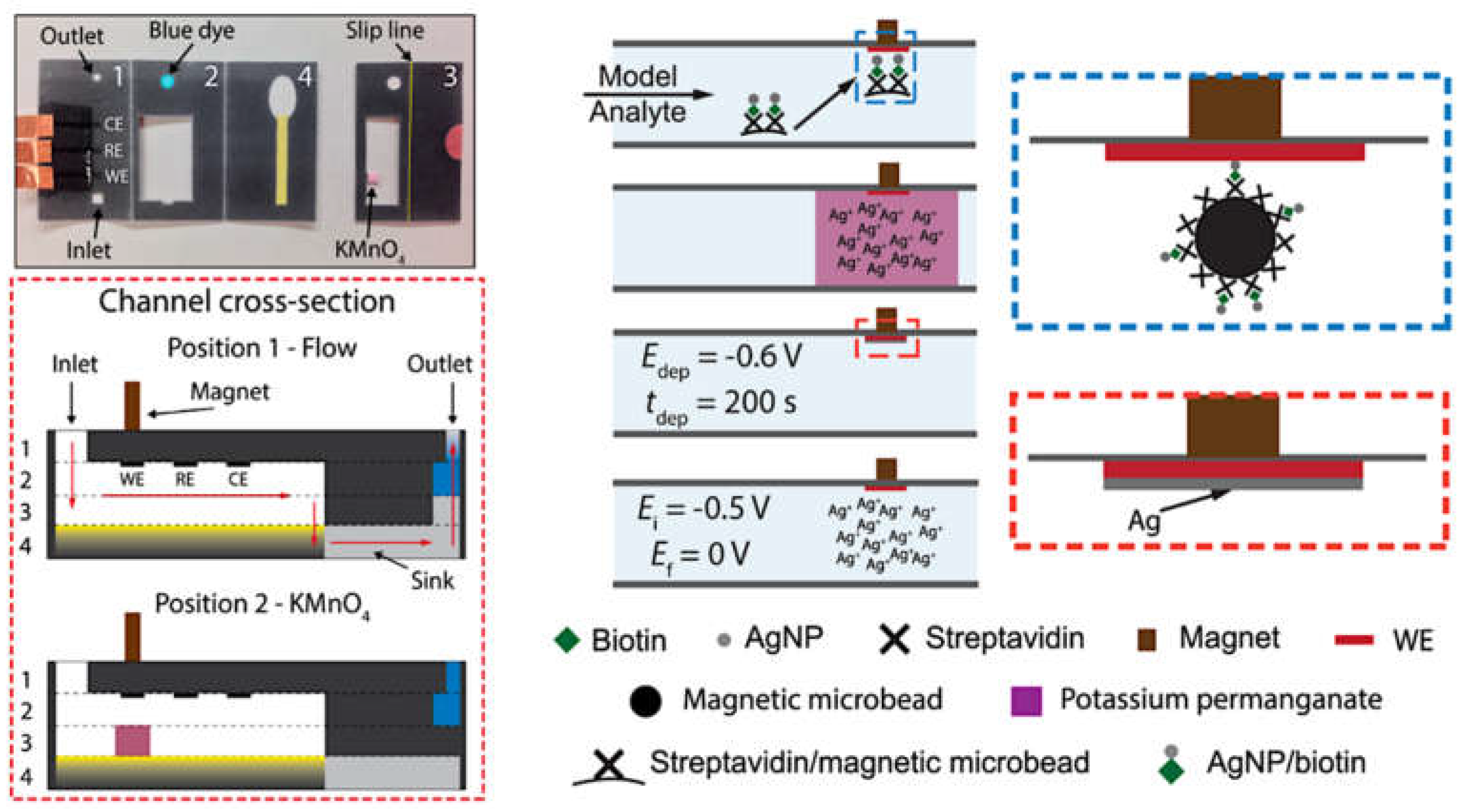 Biosensors 09 00047 g006