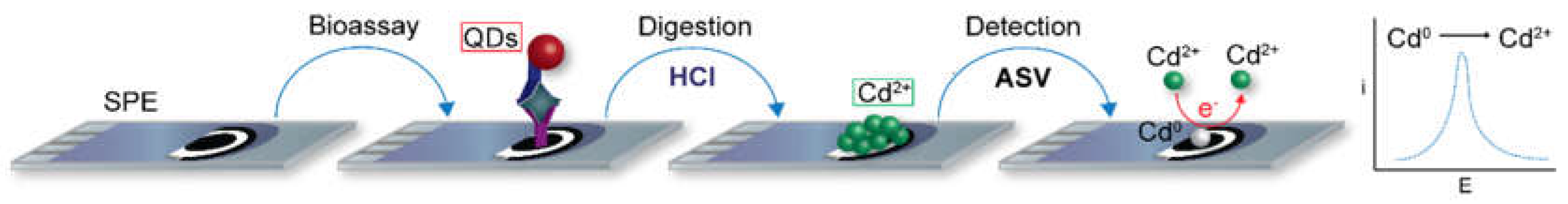 Biosensors 09 00047 g007