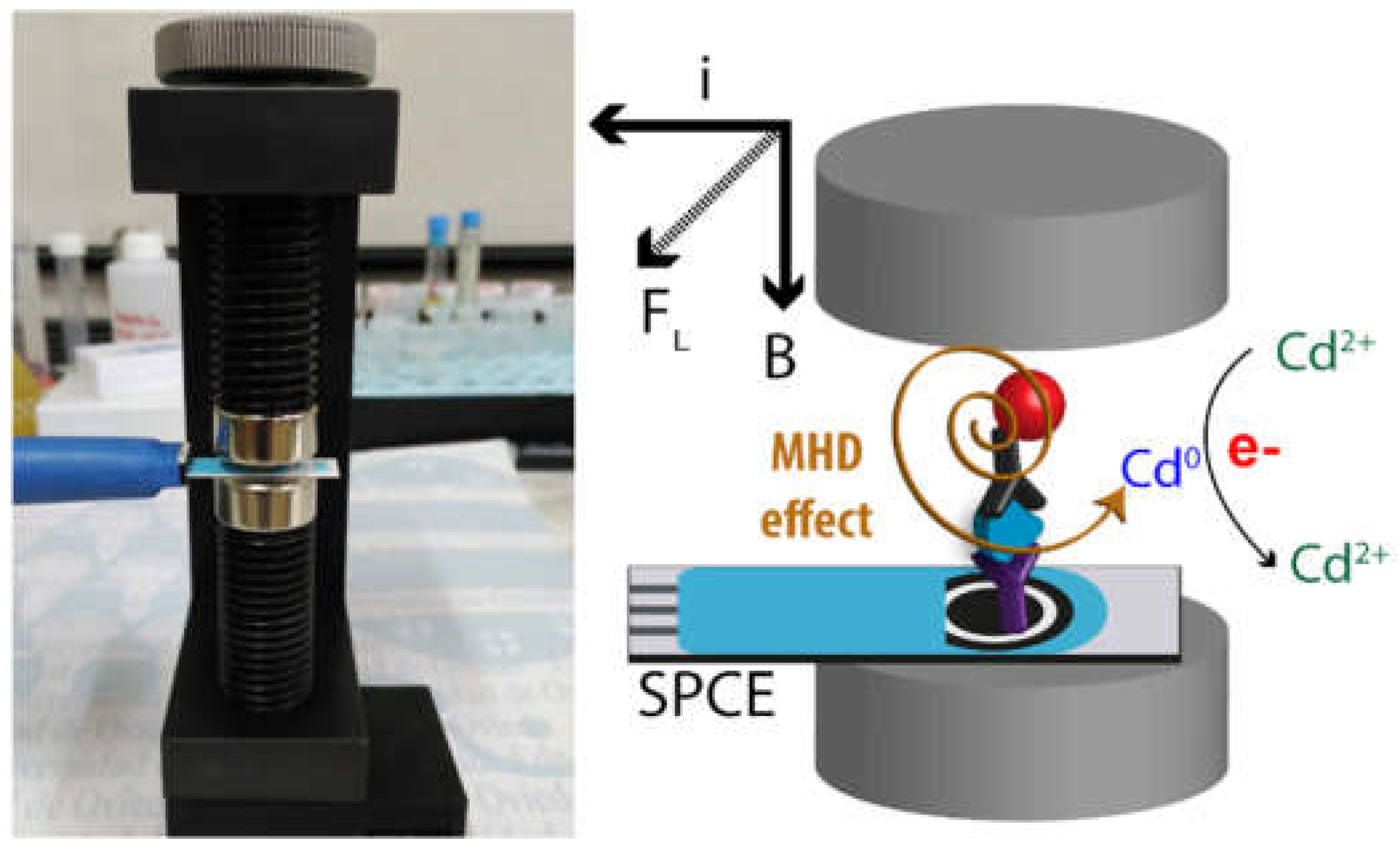Biosensors 09 00047 g008