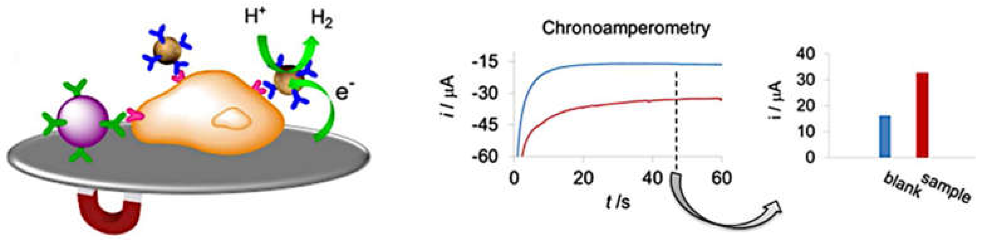 Biosensors 09 00047 g009