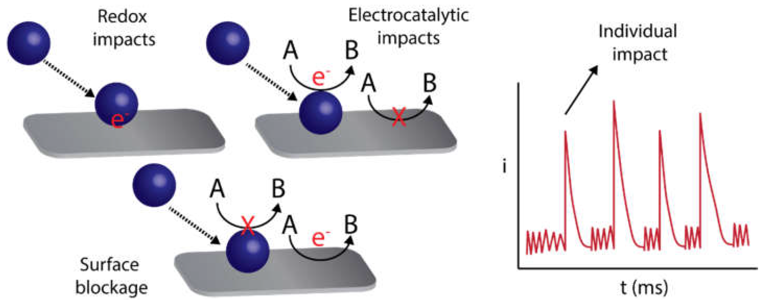 Biosensors 09 00047 g012