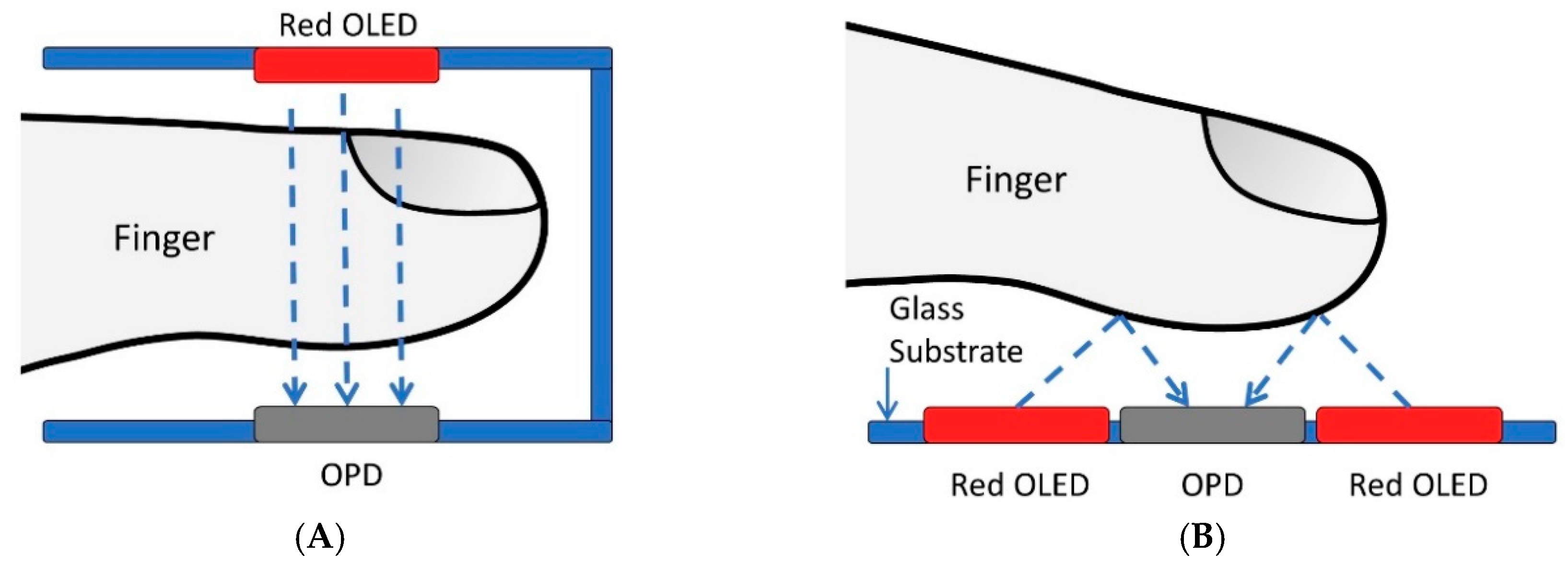 Biosensors 09 00048 g001