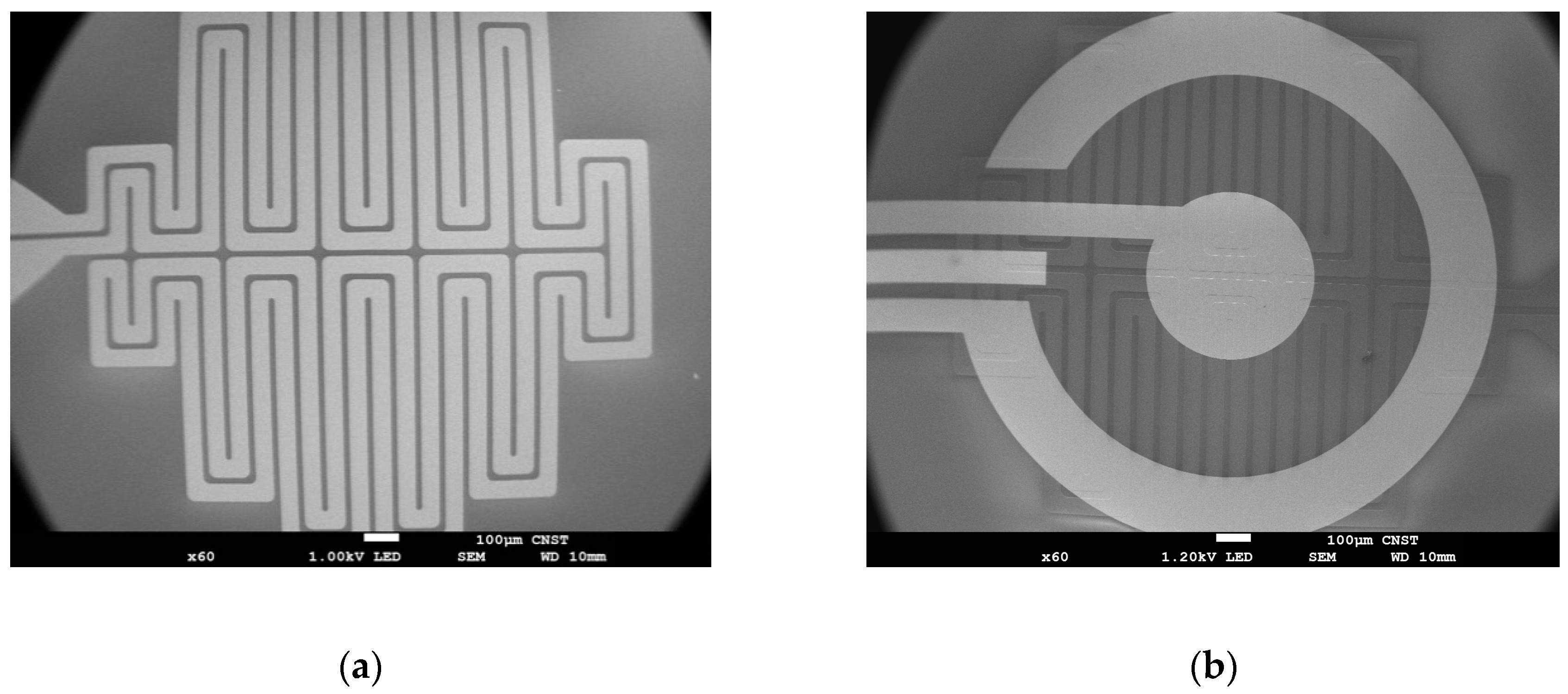 Biosensors 09 00054 g003 Biosensors 09 00054 g003