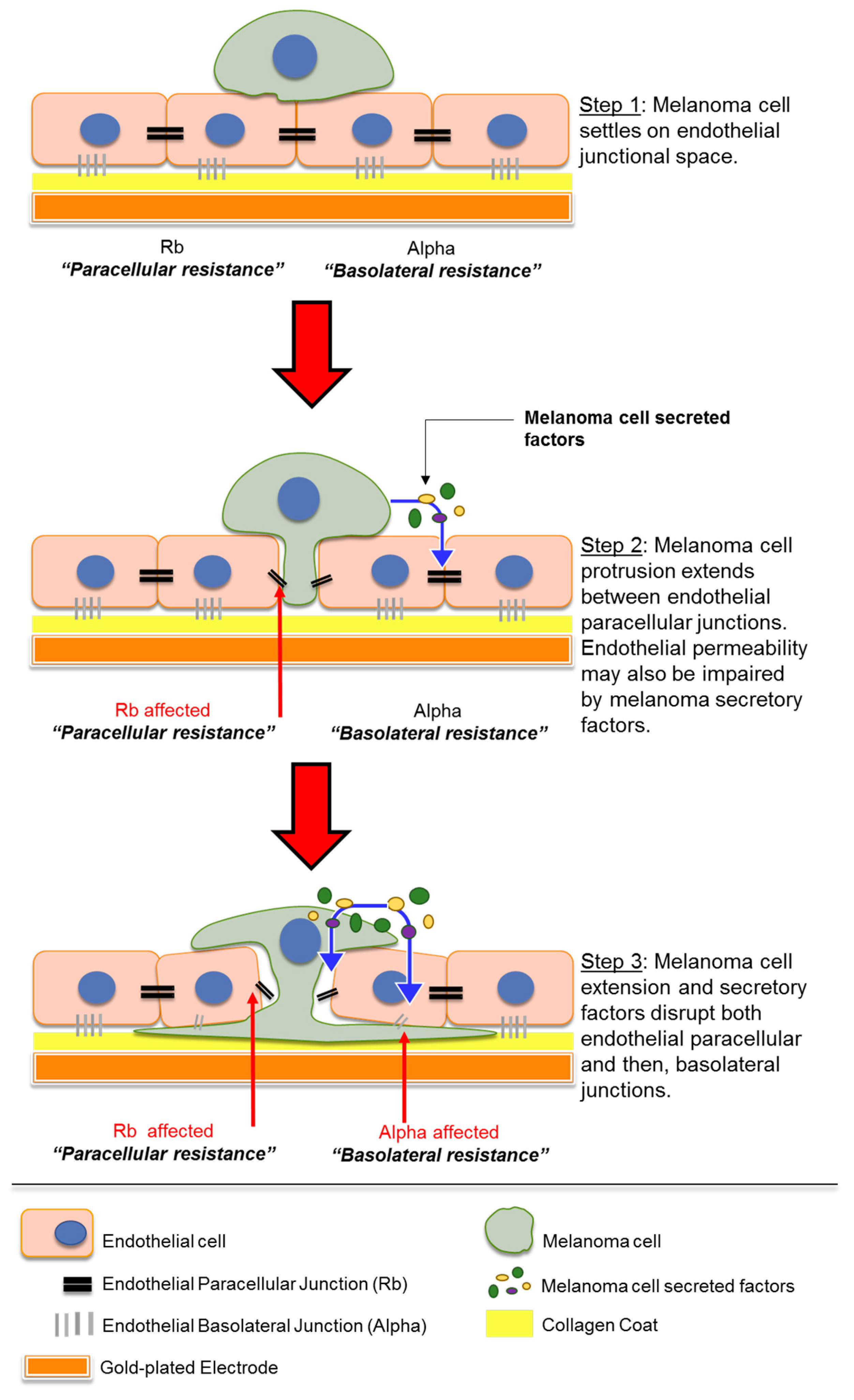 Biosensors 09 00056 g009