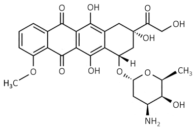 Biosensors 09 00061 i007