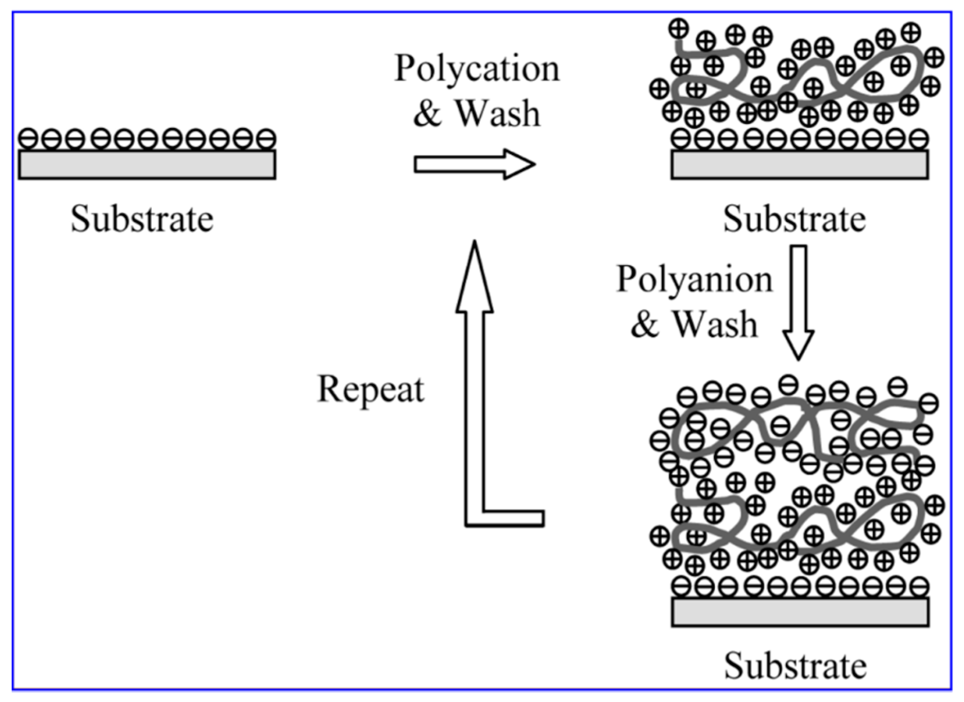 Biosensors 09 00064 g001