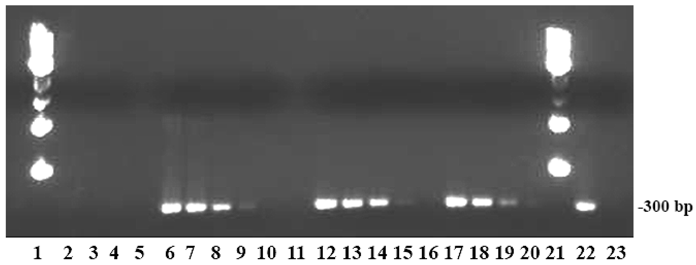 Biosensors 09 00064 g003