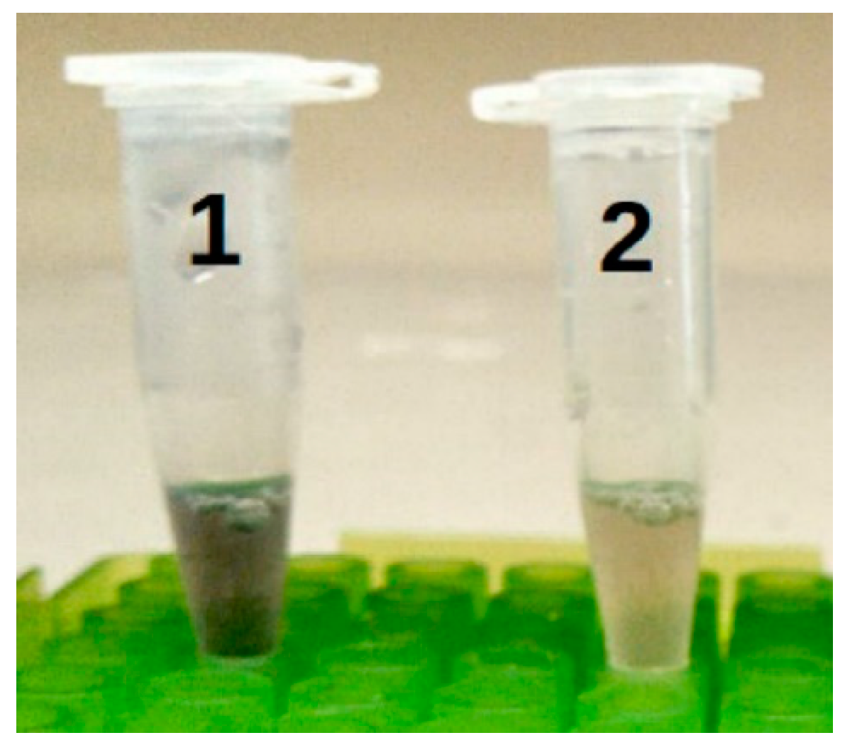 Biosensors 09 00064 g004