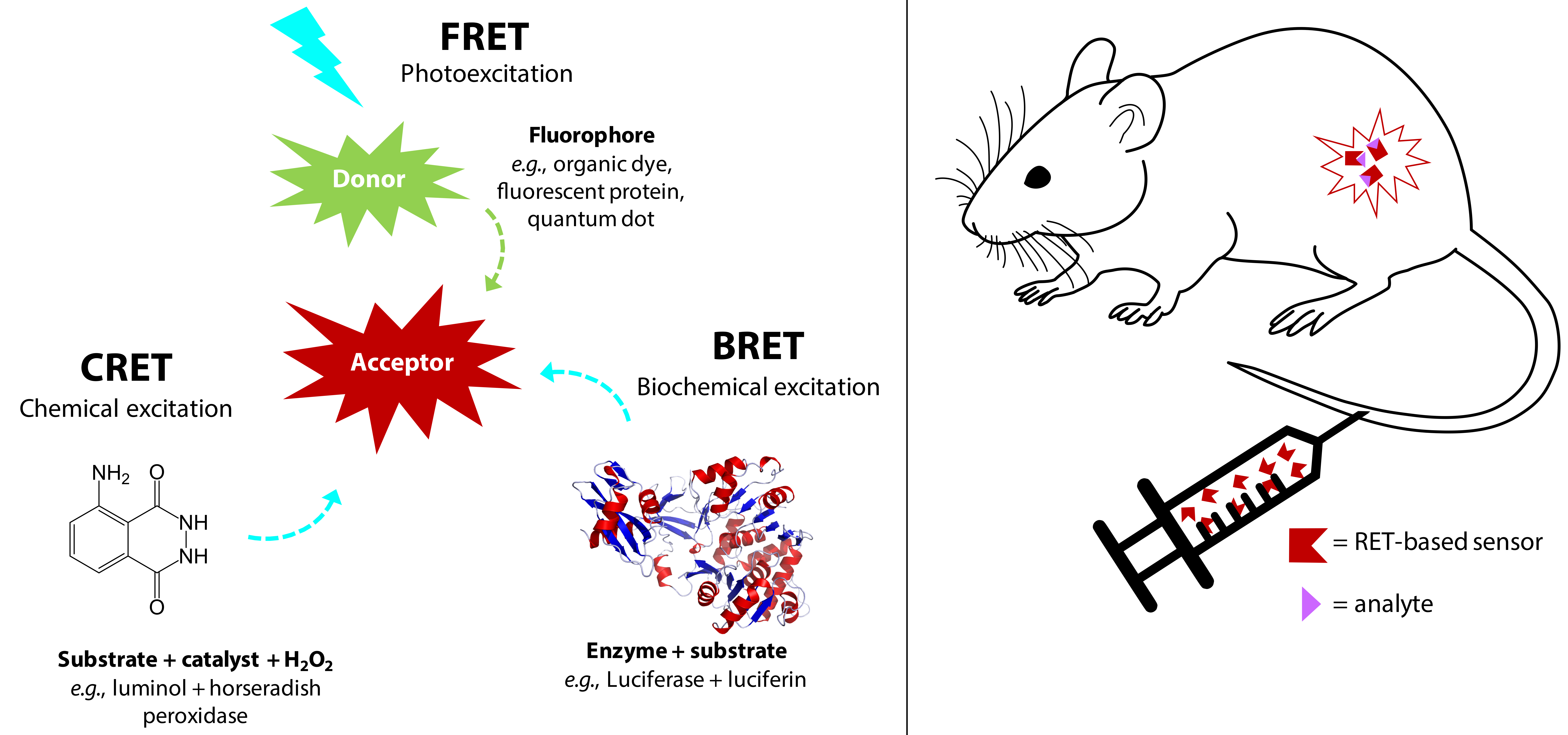 Biosensors 09 00076 g001